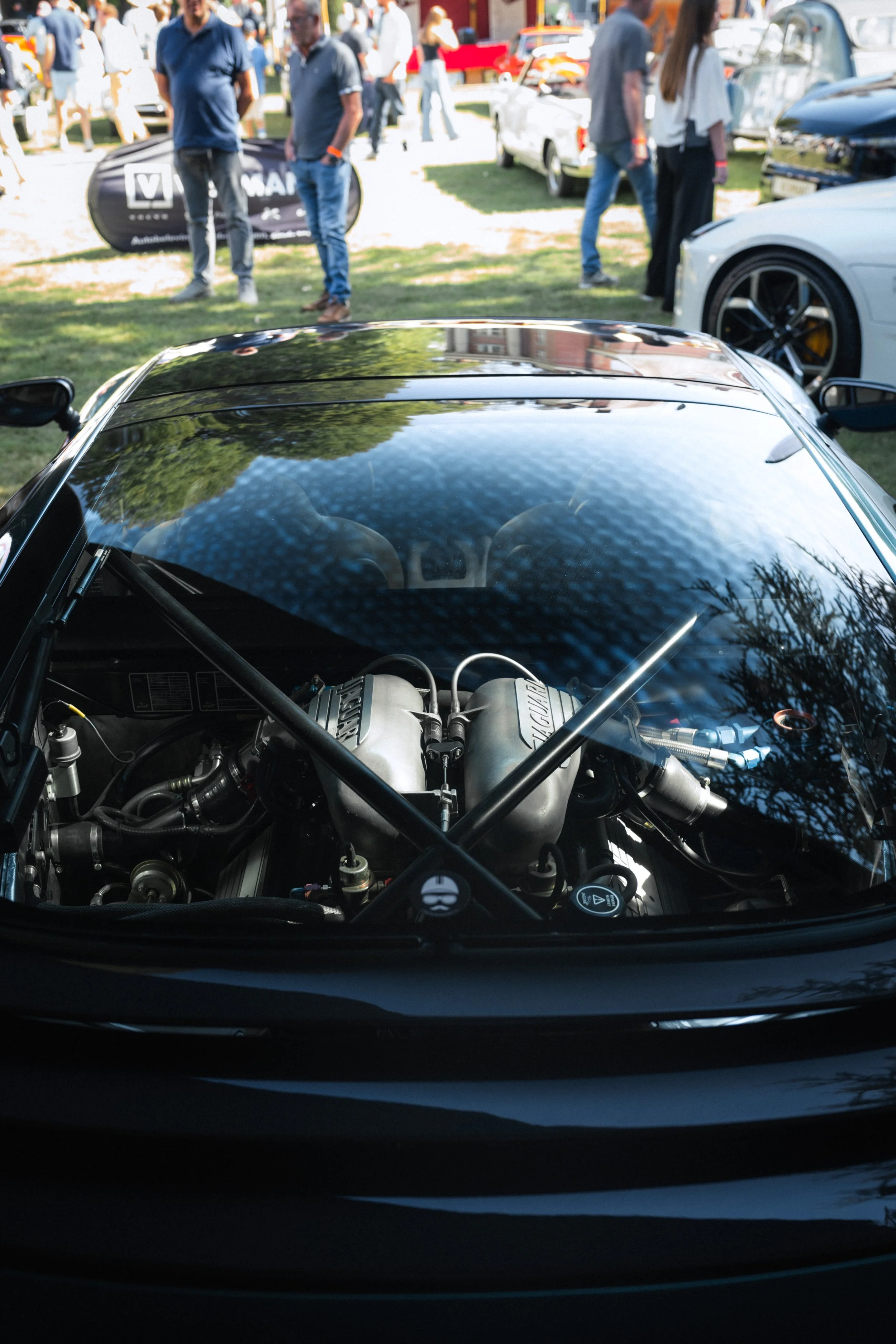 Antwerp Concours yelu-205.jpg