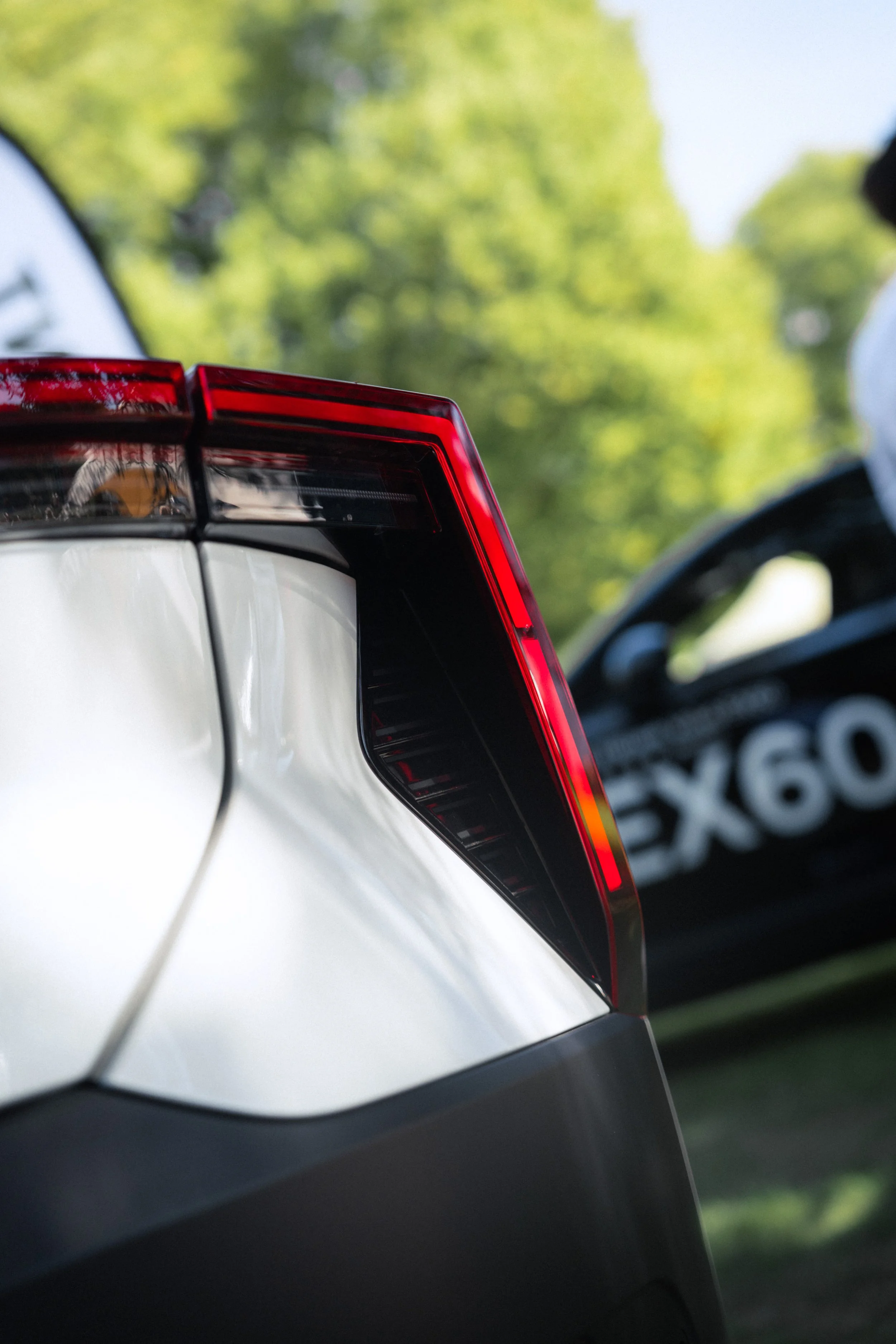 Antwerp Concours yelu-265.jpg