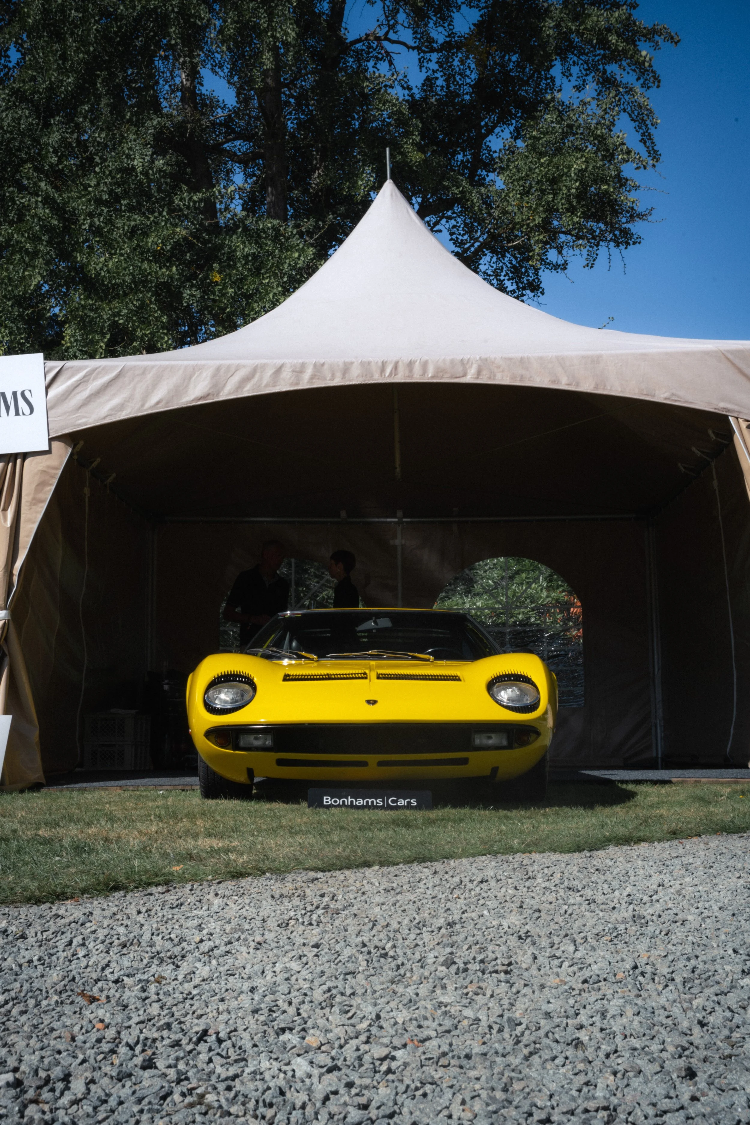 Antwerp Concours yelu-194.jpg