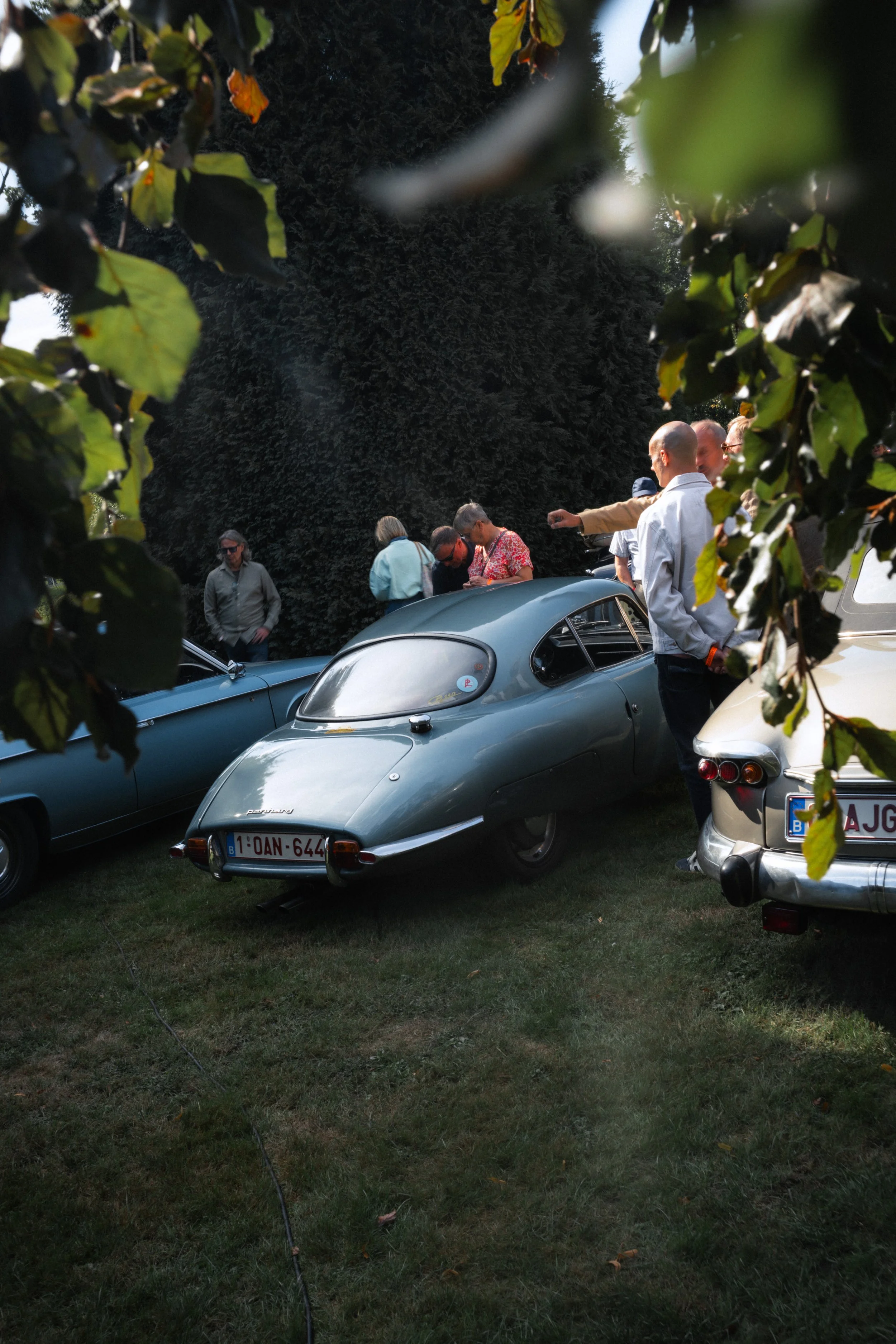 Antwerp Concours yelu-31.jpg