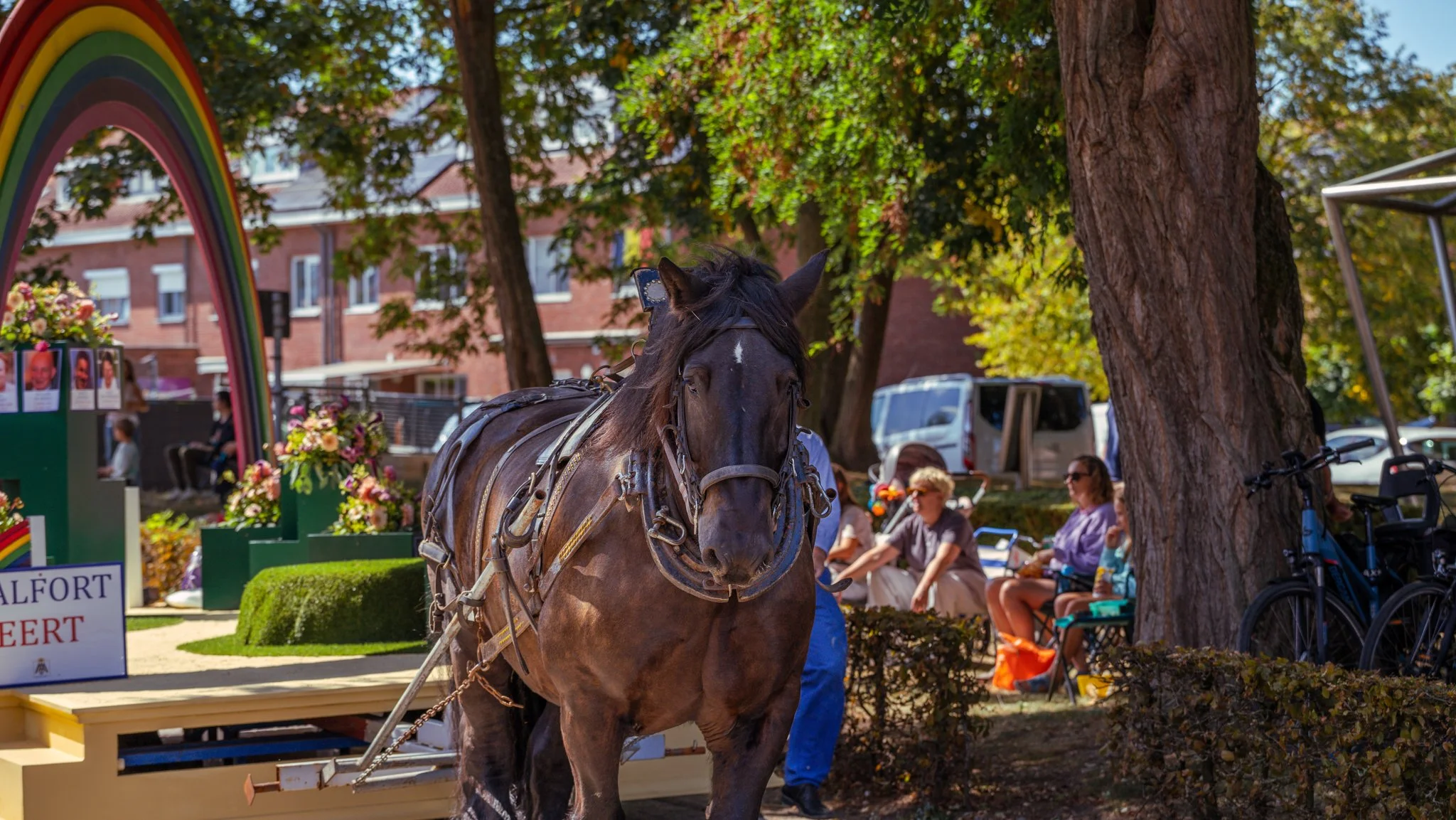 A brown horse with harness and tack stands in a park with trees and people sitting on benches in the background. There is a colorful rainbow arch and floral decorations nearby.