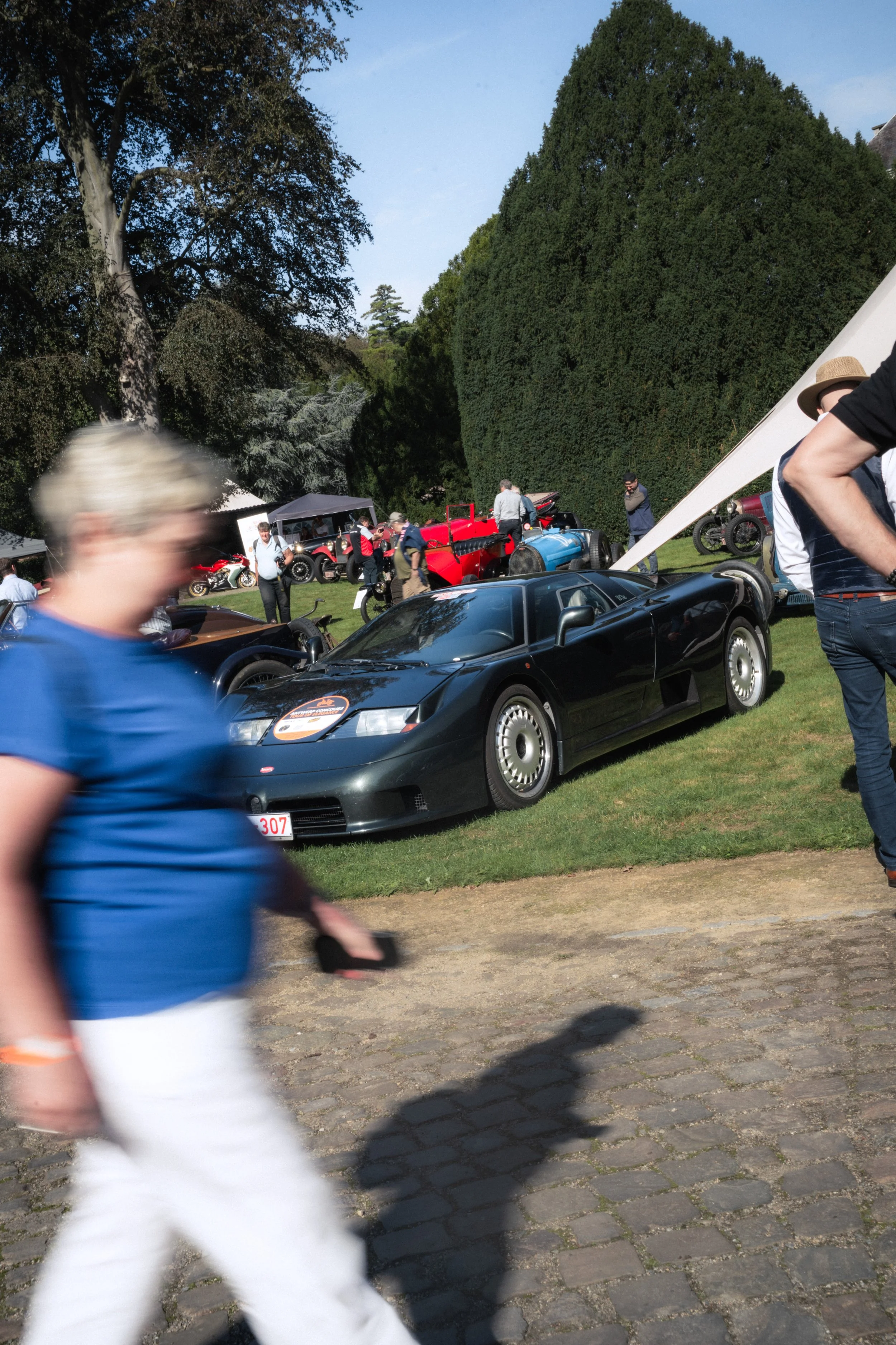 Antwerp Concours yelu-451.jpg
