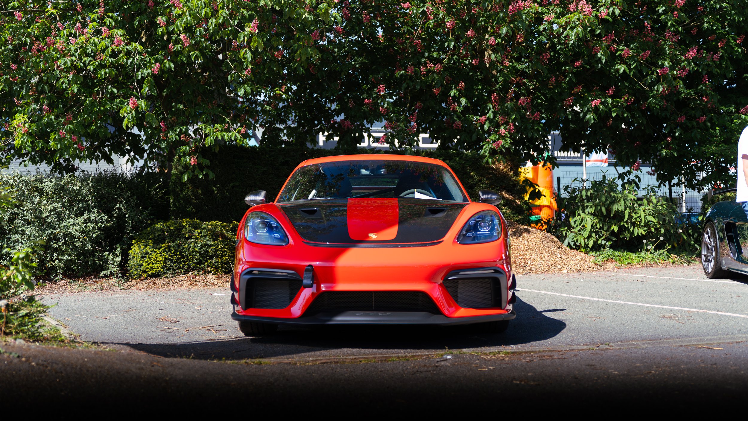Red sports car with black hood parked in a lot with greenery and trees overhead.