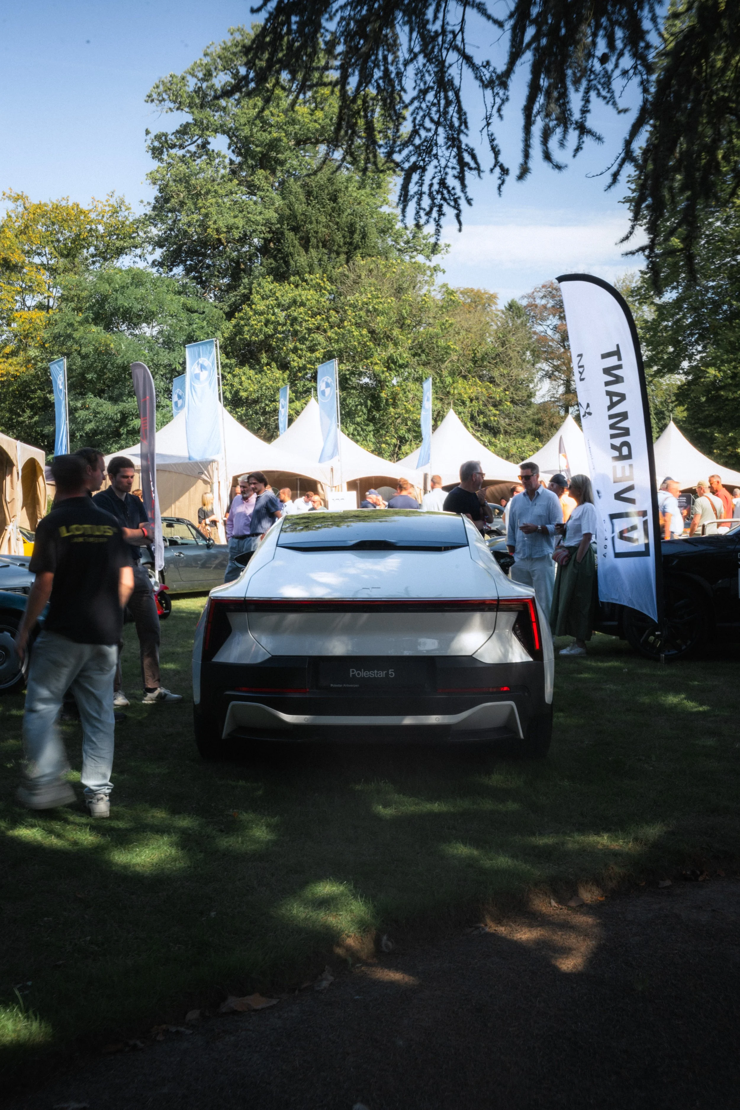 Antwerp Concours yelu-262.jpg