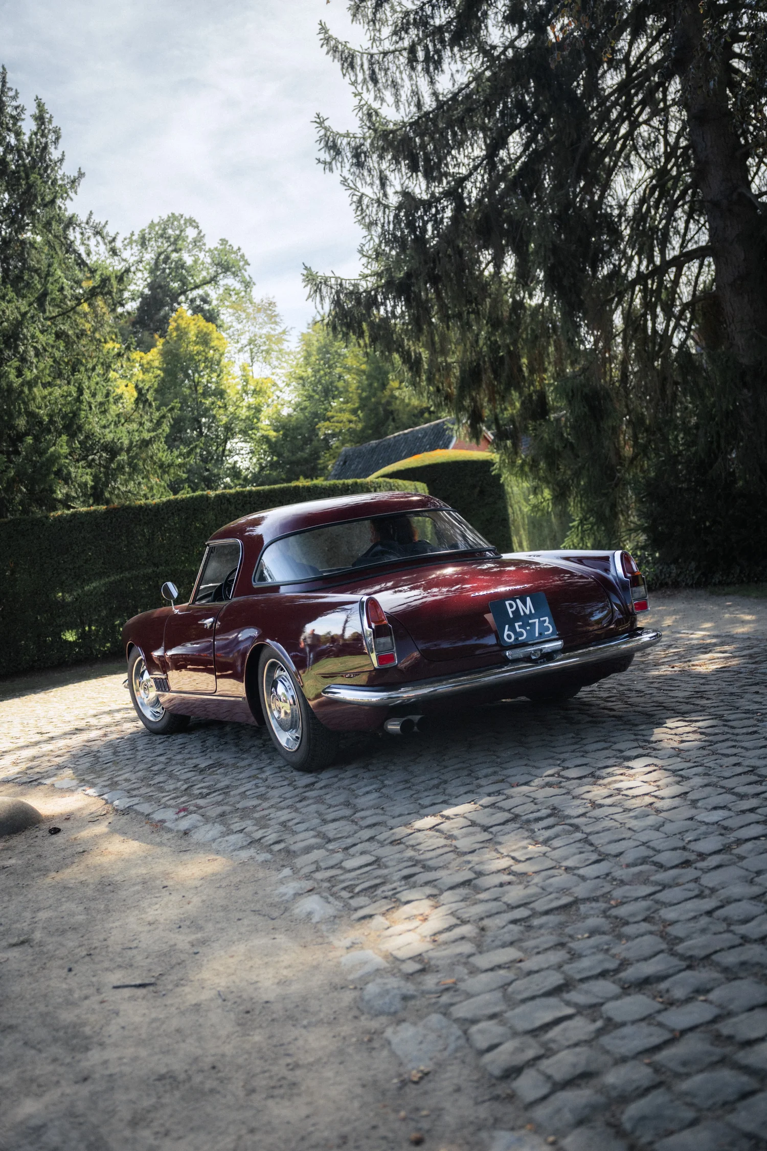 Antwerp Concours 2026, sfeerbeeld, event fotografie, fotograaf Antwerpen, yelu visuals