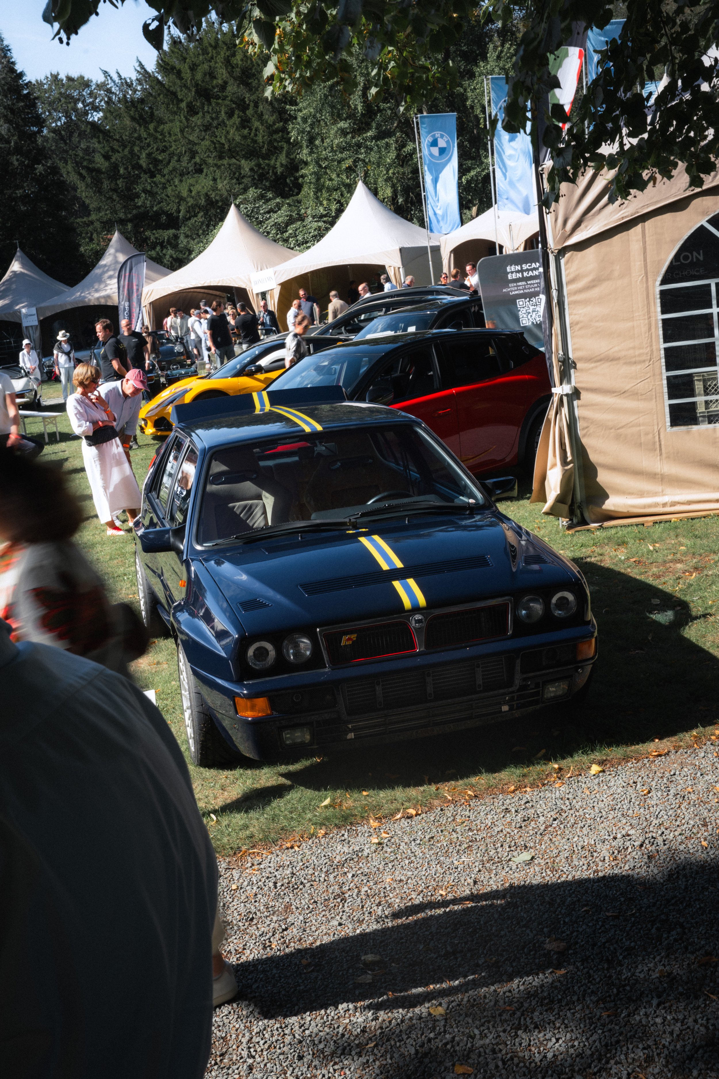 Antwerp Concours yelu-164.jpg