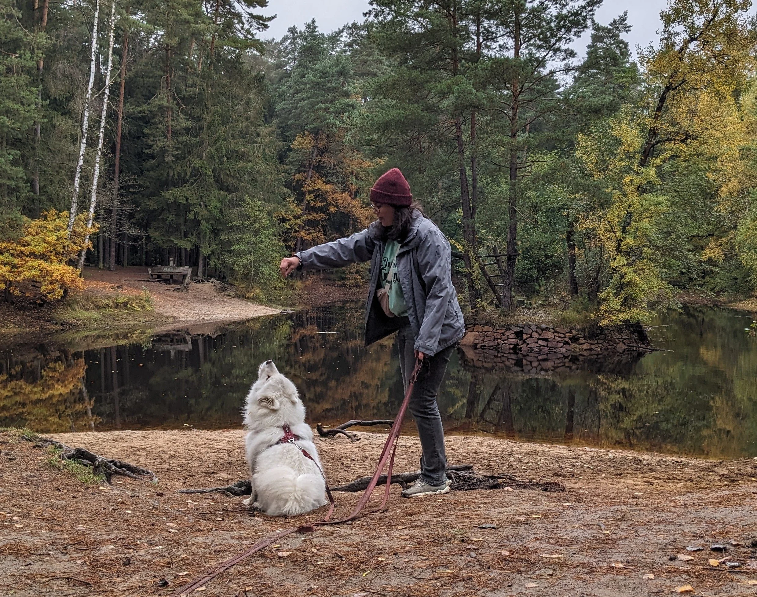 Sarah et Bao assis au bord d'un étang dans une forêt en automne. ils jouent ensemble.