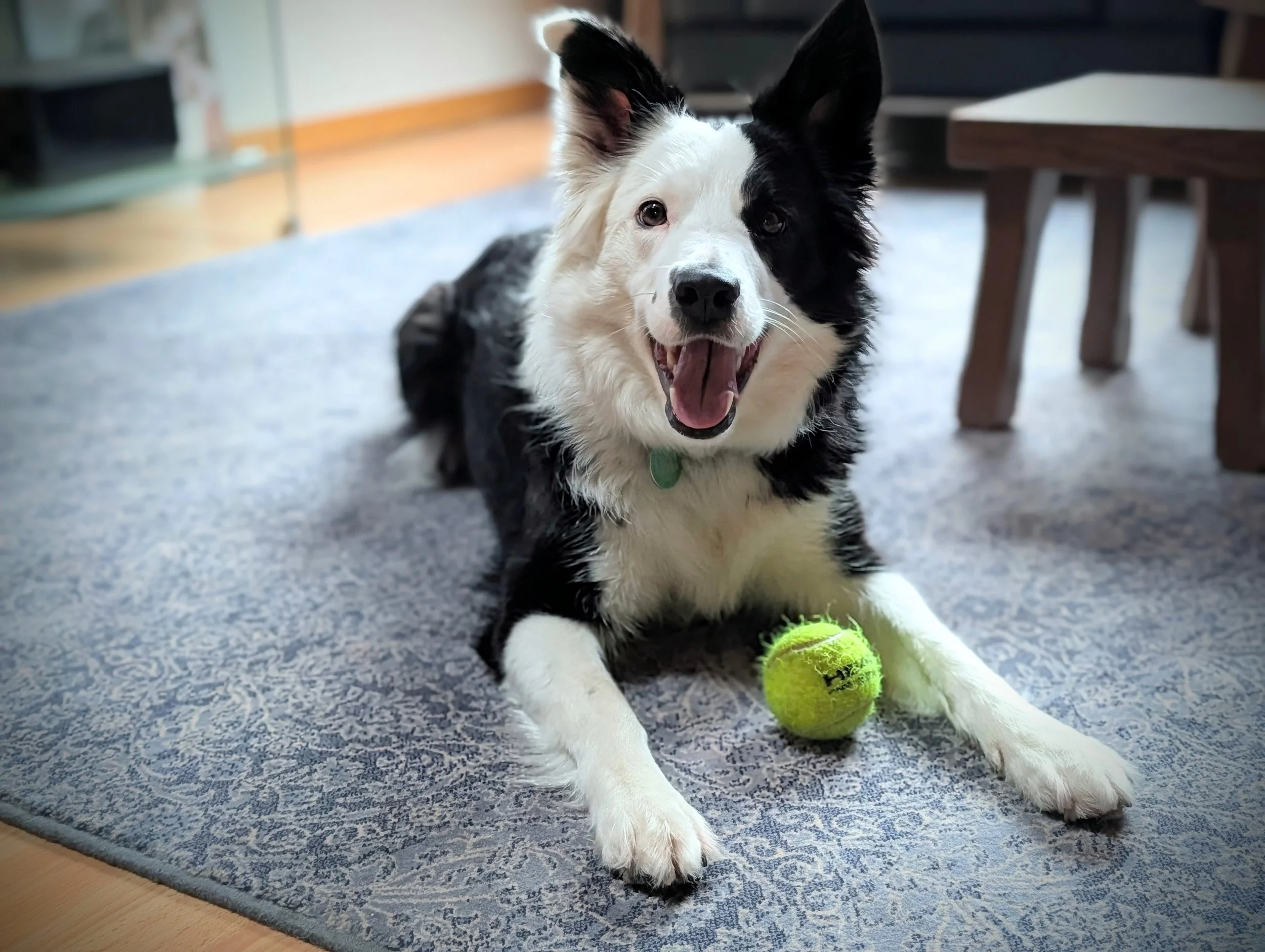 Pourquoi choisir la mastication naturelle plutôt que des produits industriels ?