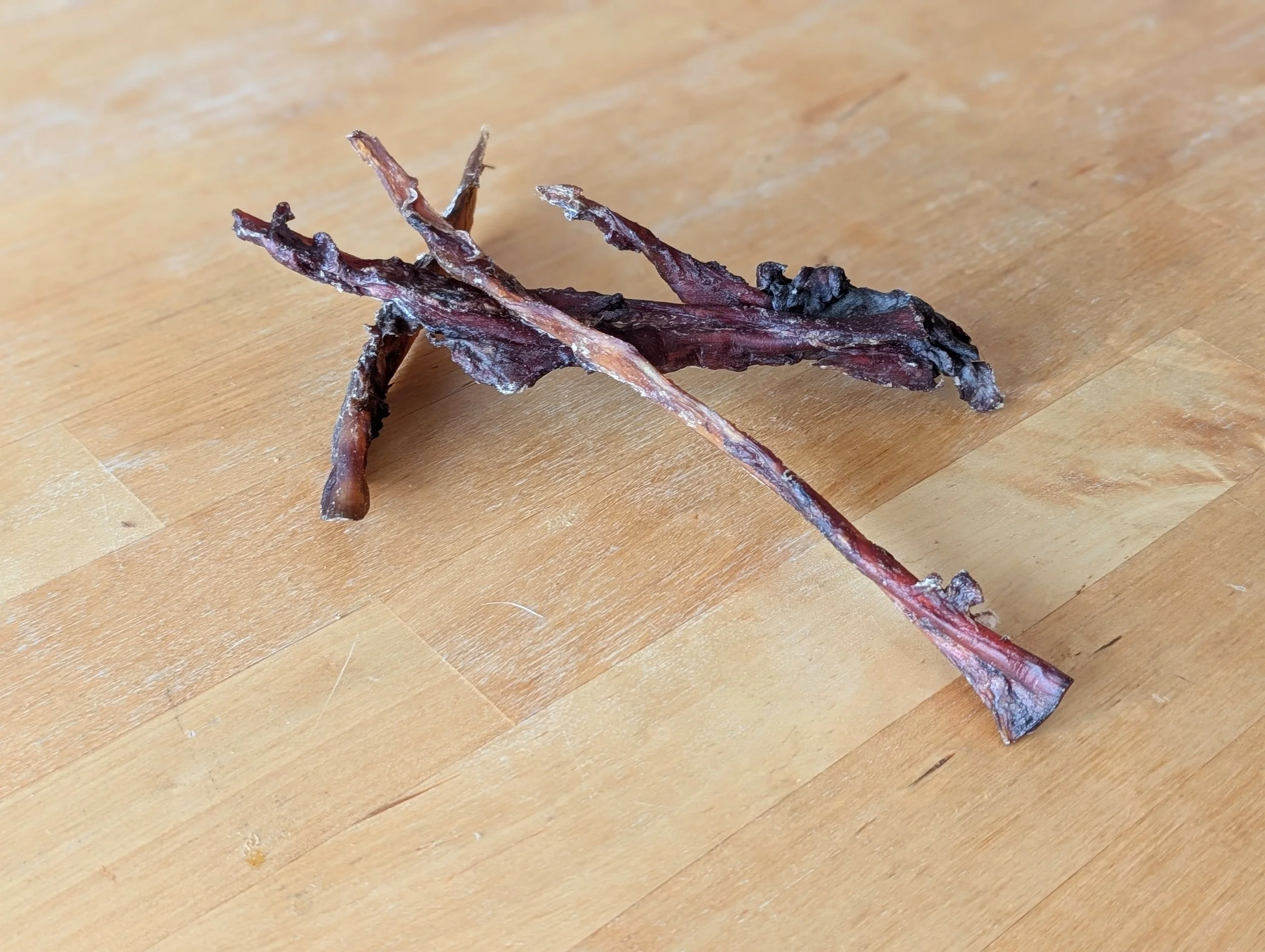 Mastication naturelle : Tendons de gibier