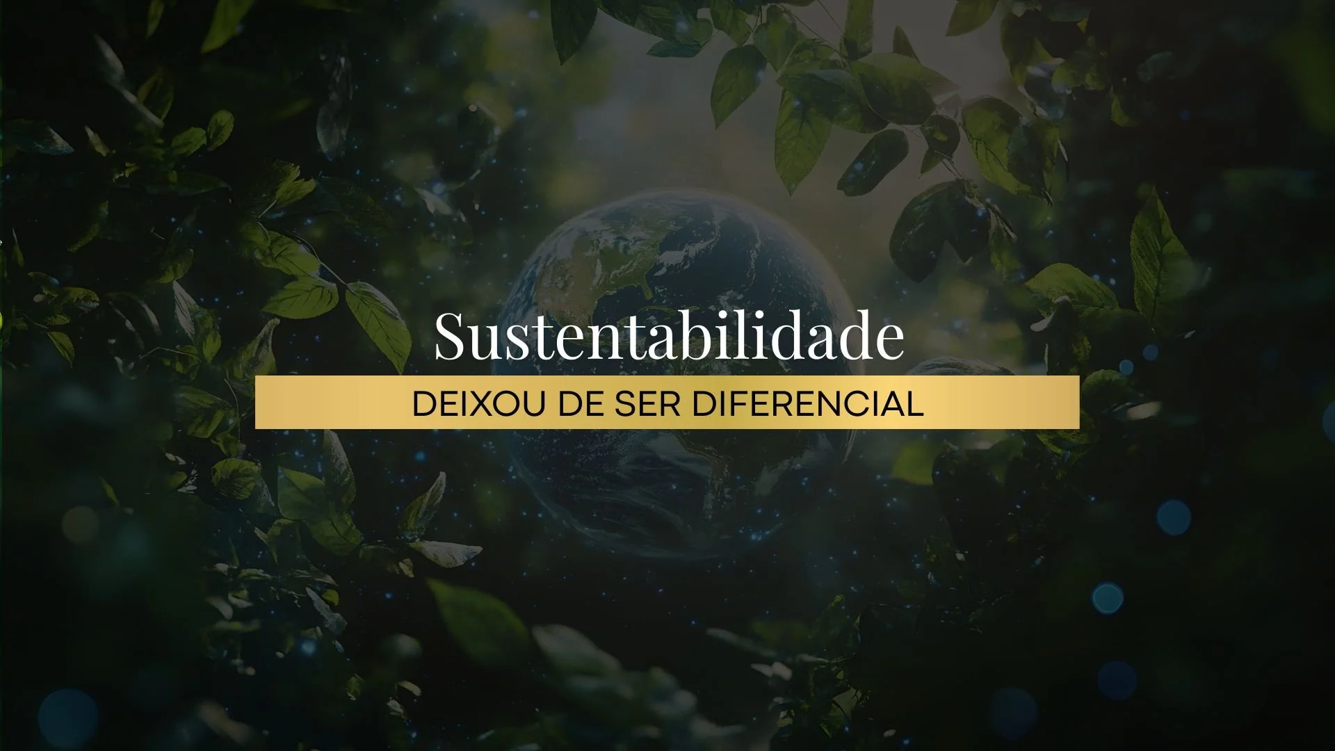 SUSTENTABILIDADE DEIXOU DE SER DIFERENCIAL