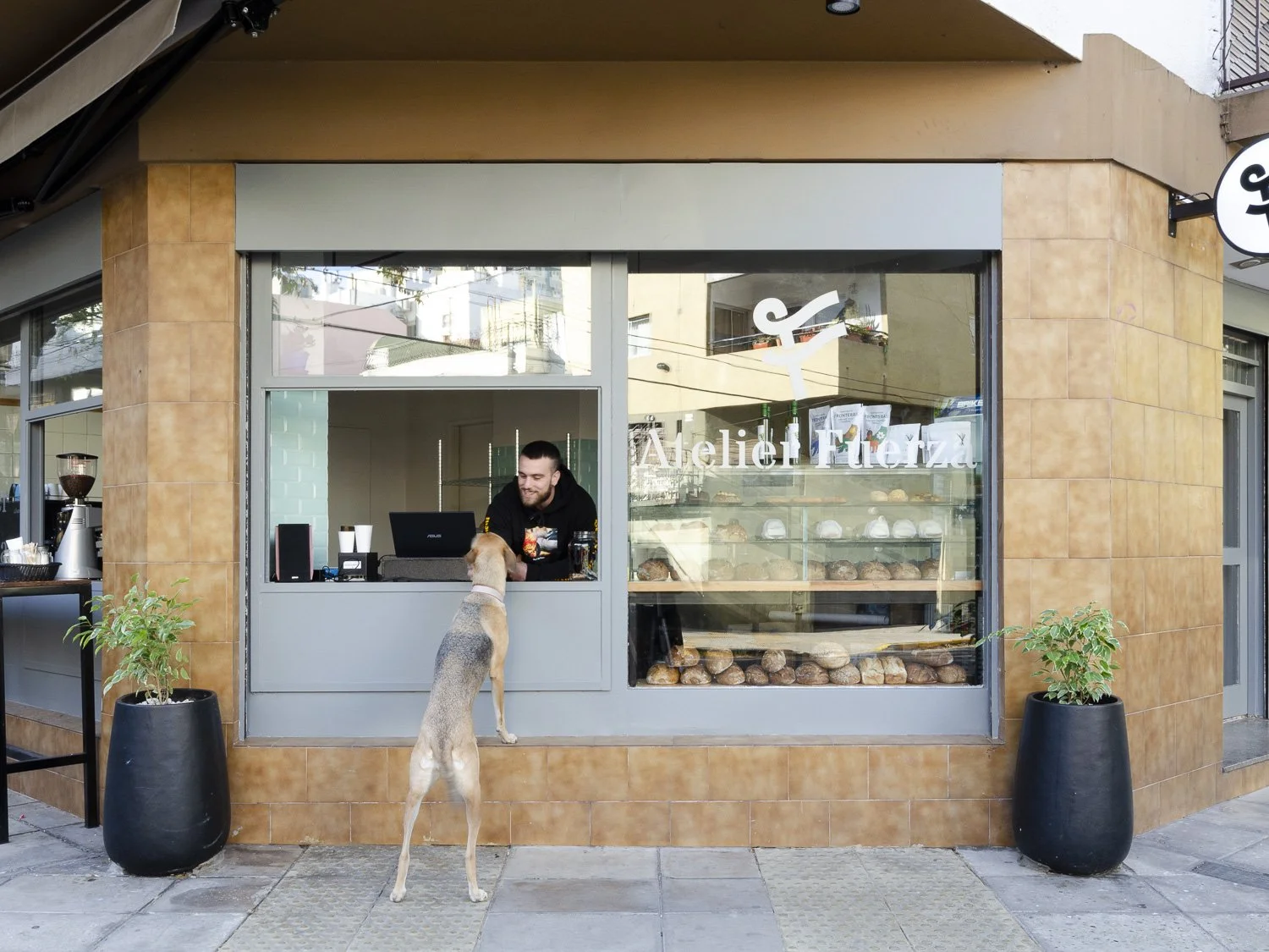 OBRA AF / Reforma integral / Categoría: Comercial / 40 m2. / Locación: Caballito, Buenos Aires / fotografía: gala sol cabrera