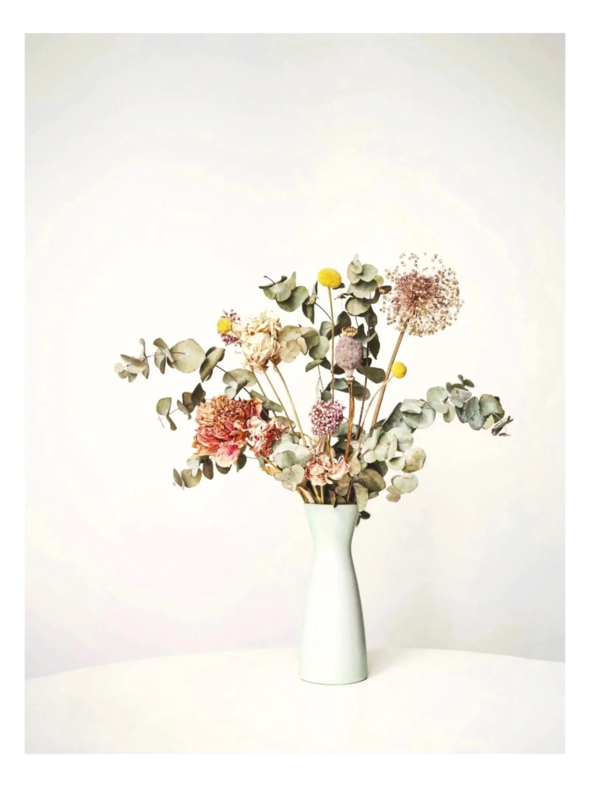 A tall white vase filled with a dried flower arrangement including eucalyptus leaves, pink carnations, yellow billy buttons, and a large round dandelion seed head, set against a white background.