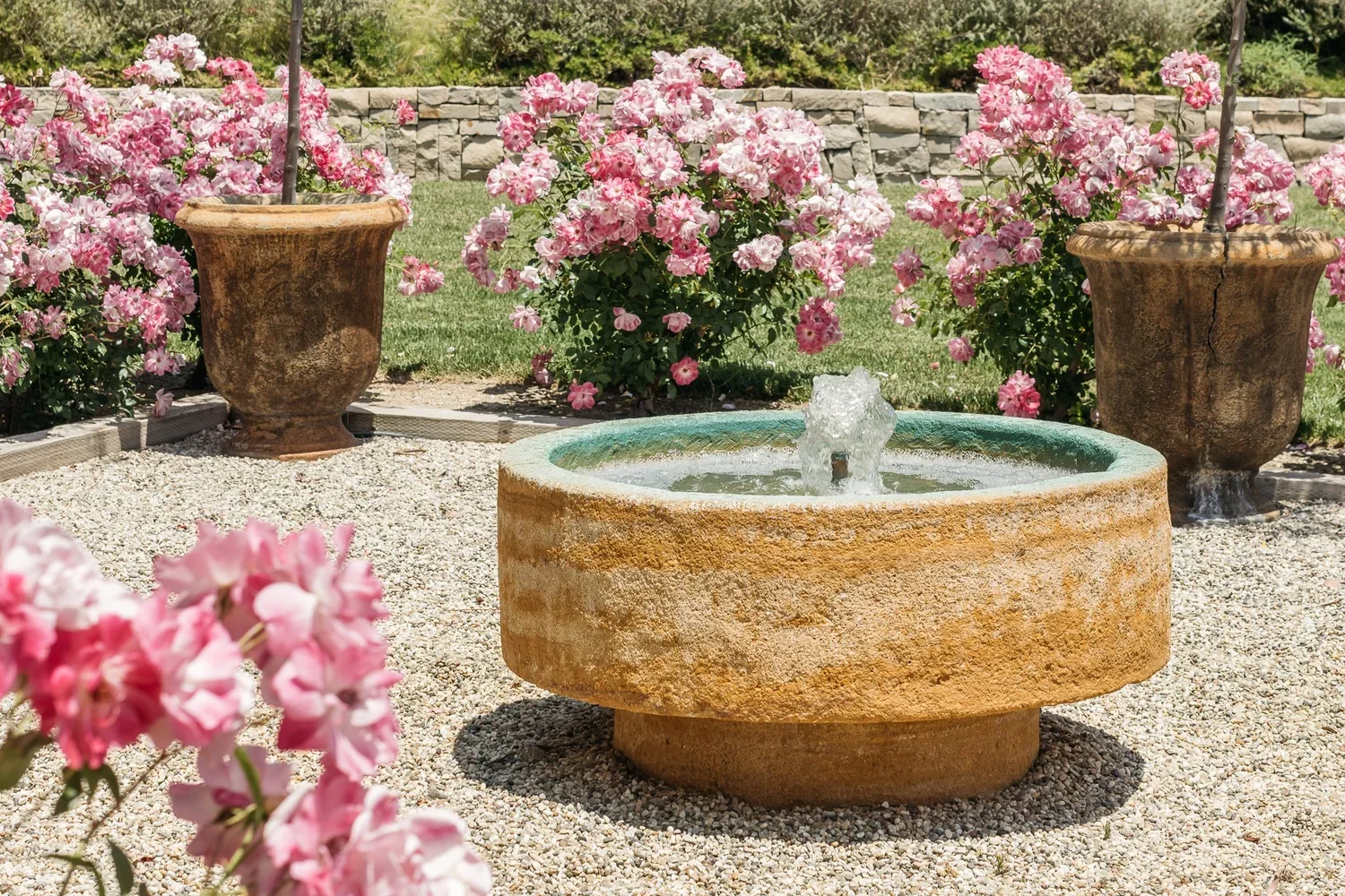 A garden scene with a circular stone fountain in the foreground and pink flowering bushes in large terracotta pots in the background, with a stone wall and green trees behind.