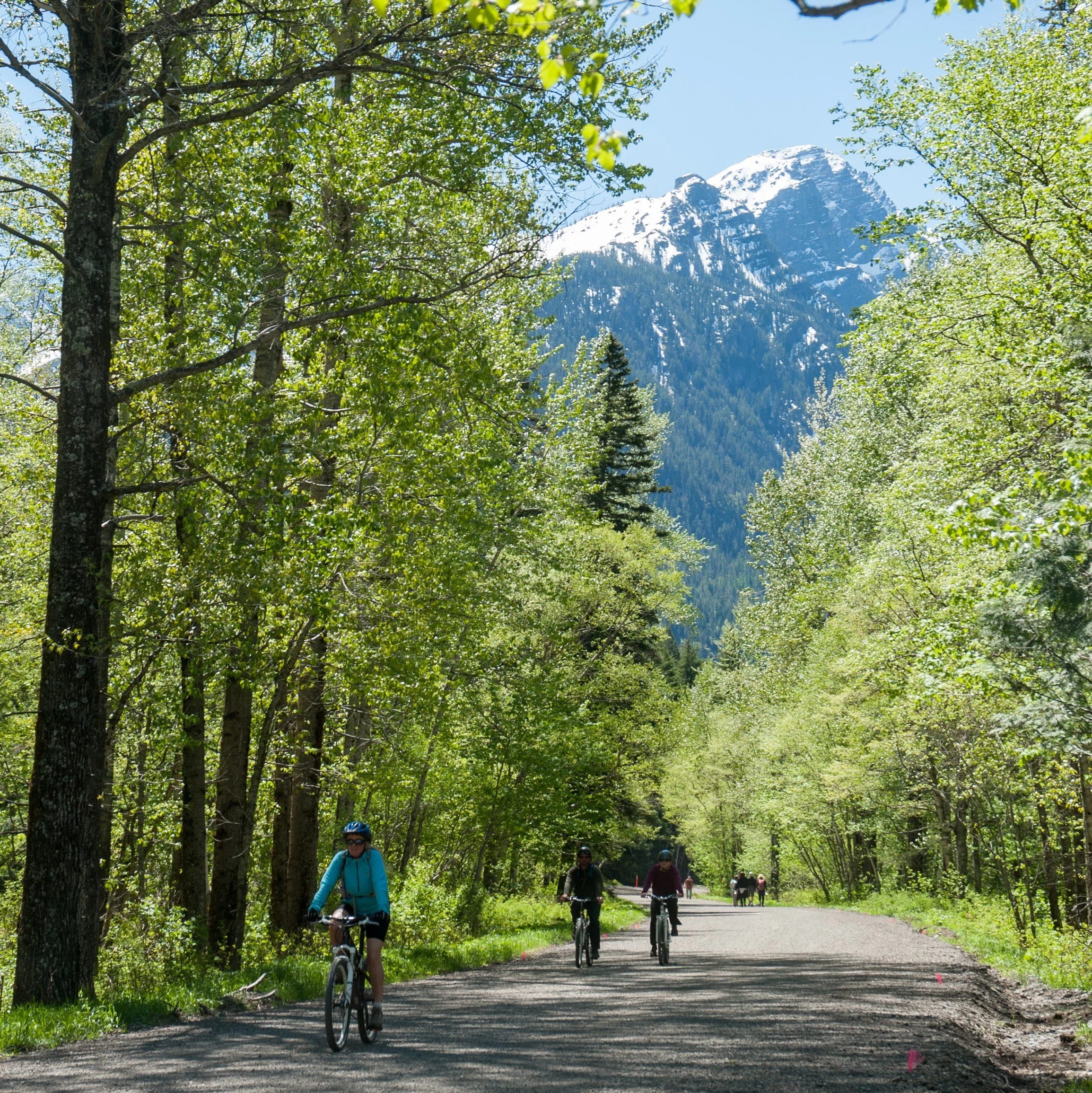Biking on the Going-to-the-Sun road in Glacier National Park in the spring.