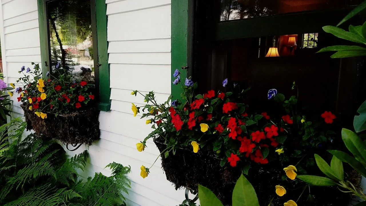 Window with flower boxes containing red, yellow, purple, and blue flowers on a white house with green trim, with ferns below.