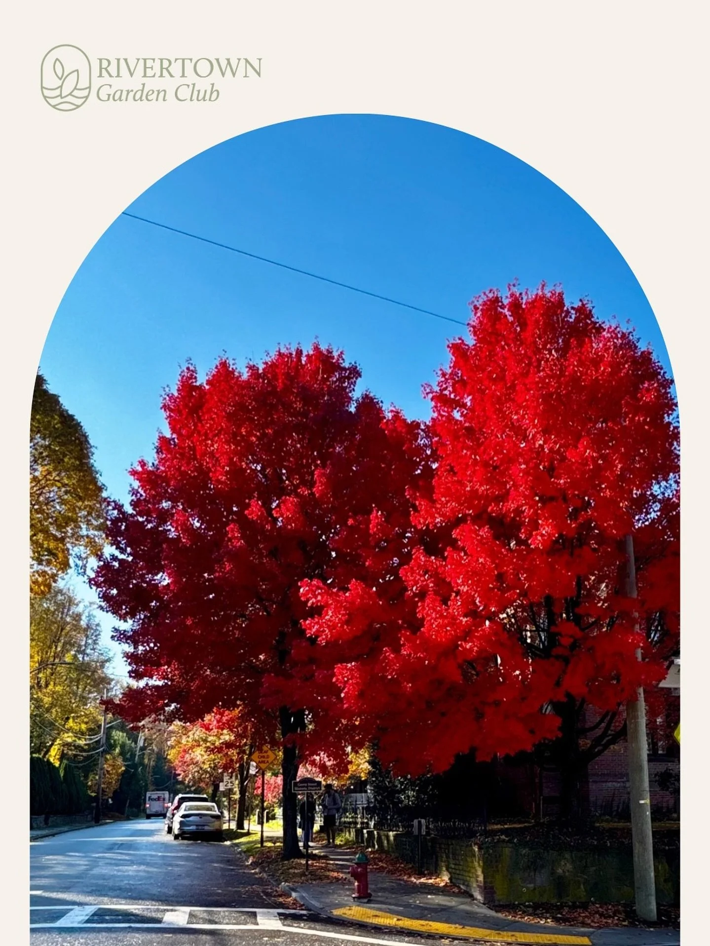 No filter Fall, ya&rsquo;ll.

There are many great reasons why living up here in these river towns is so special but Fall may be the one that takes the cake for me. 

#FallYall #SleepyHollow #Tarrytown #Rivertown #FallFoliage #LeafPeeping