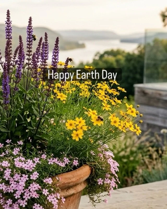Earth Day reminder: pollinator gardens don&rsquo;t have to be big.

This simple container works beautifully on a balcony or terrace and feeds bees from spring through summer.

Plant recipe:
&bull; Salvia (thriller)
&bull; Coreopsis (filler)
&bull; Cr