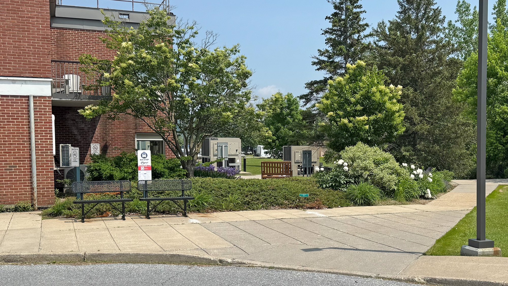 Before: The garden beside the hospital’s emergency department was overgrown, with no way to walk through—only around the edges. 