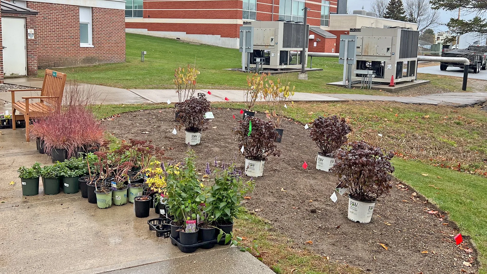 Just beyond the garden are large air handlers that serve the adjacent buildings. A new satellite bed with tall shrubs will screen the equipment and reduce noise.