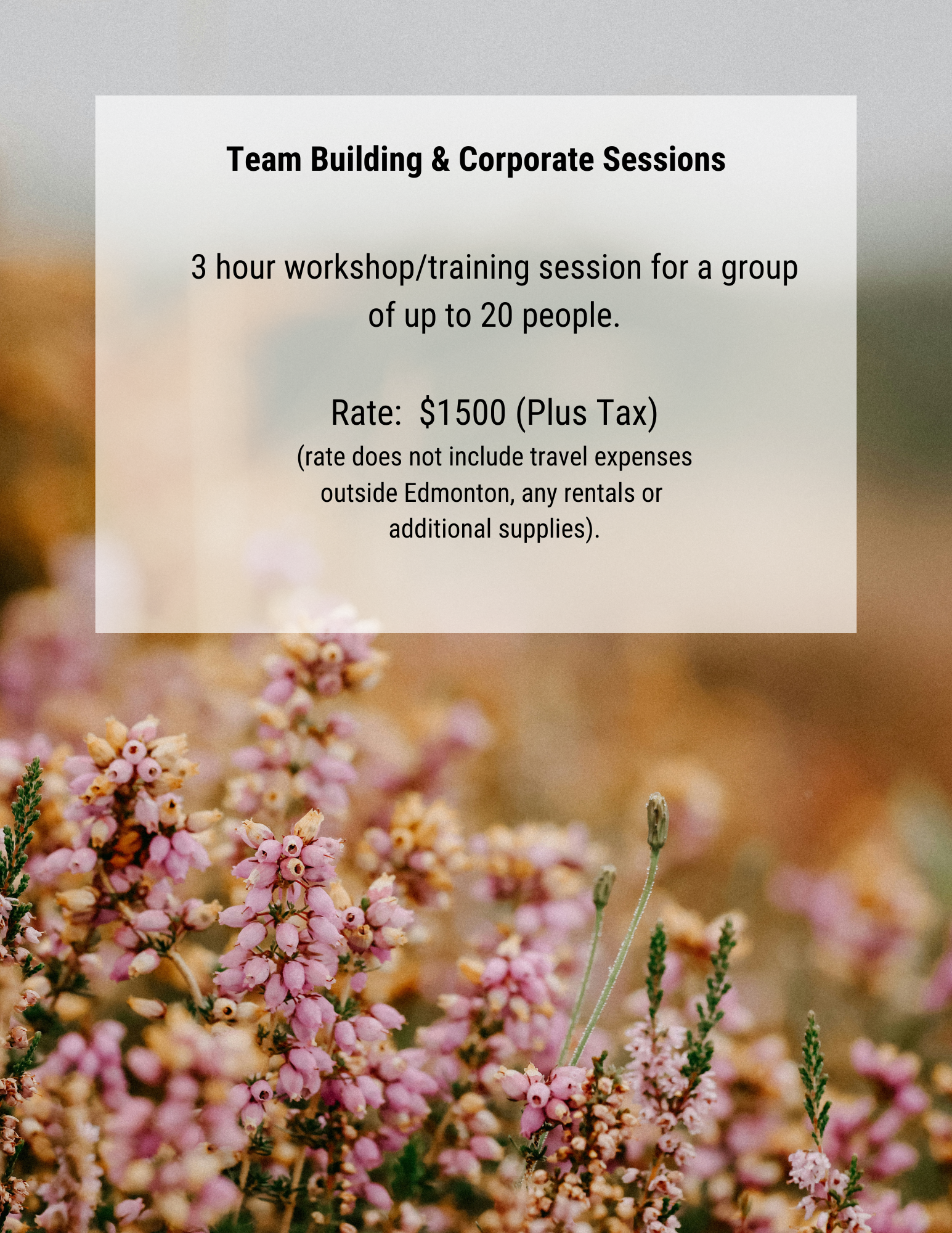 Team Building & Corporate Sessions