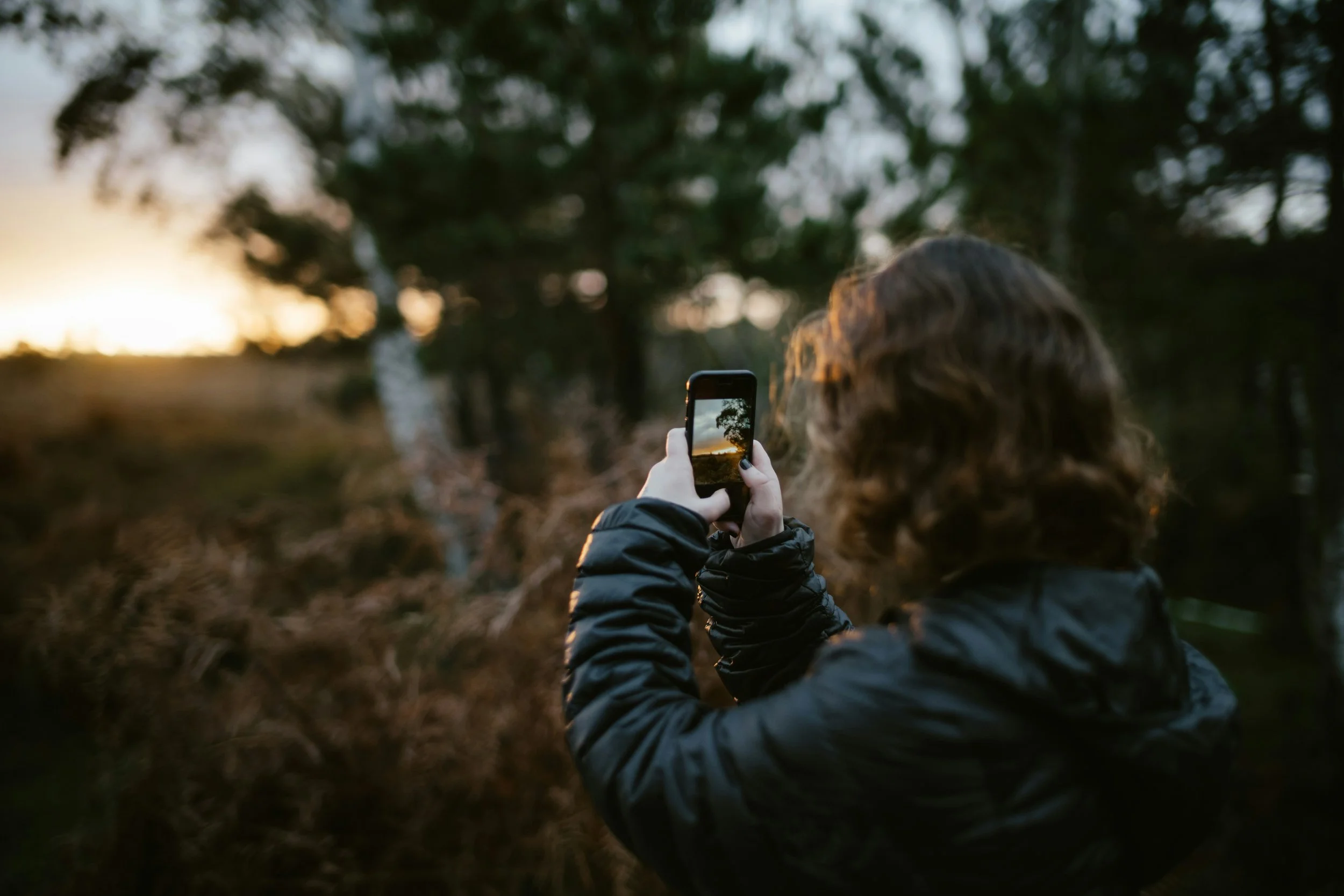 Phone Photo Walk