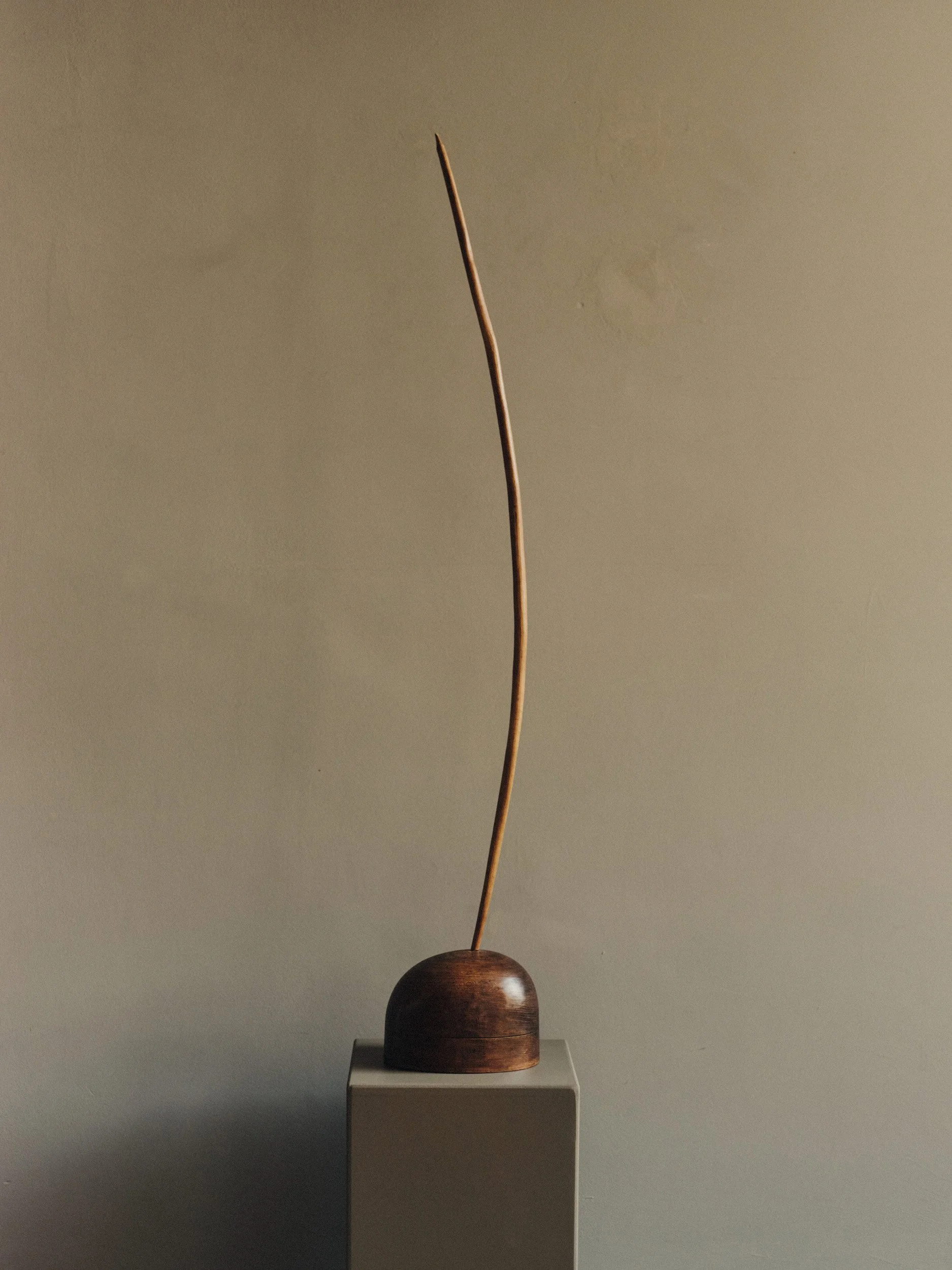 OBJECT LINEA