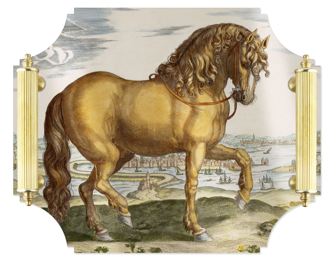 Acrylic tray with Brass Handles - Stallion