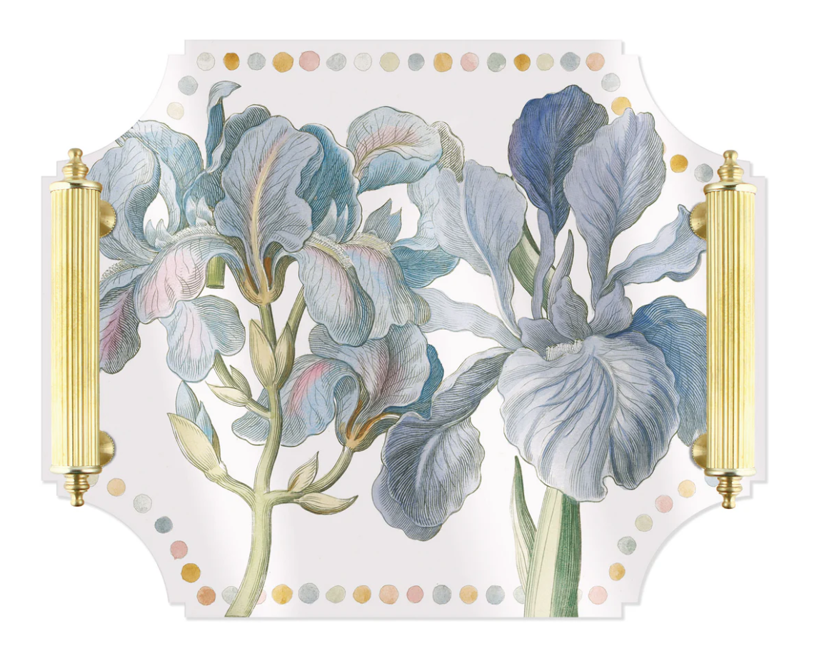 Acrylic tray with Brass Handles - Iris
