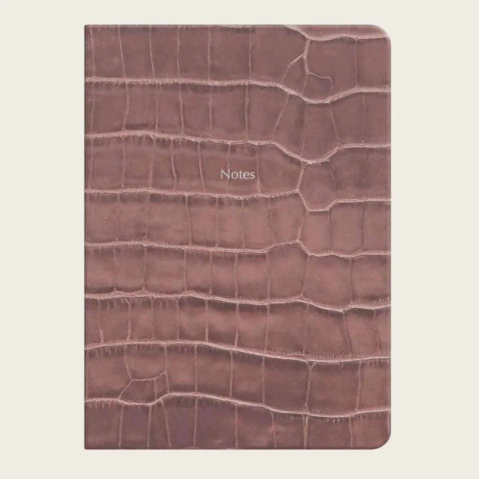 Taupe large notebook.jpg