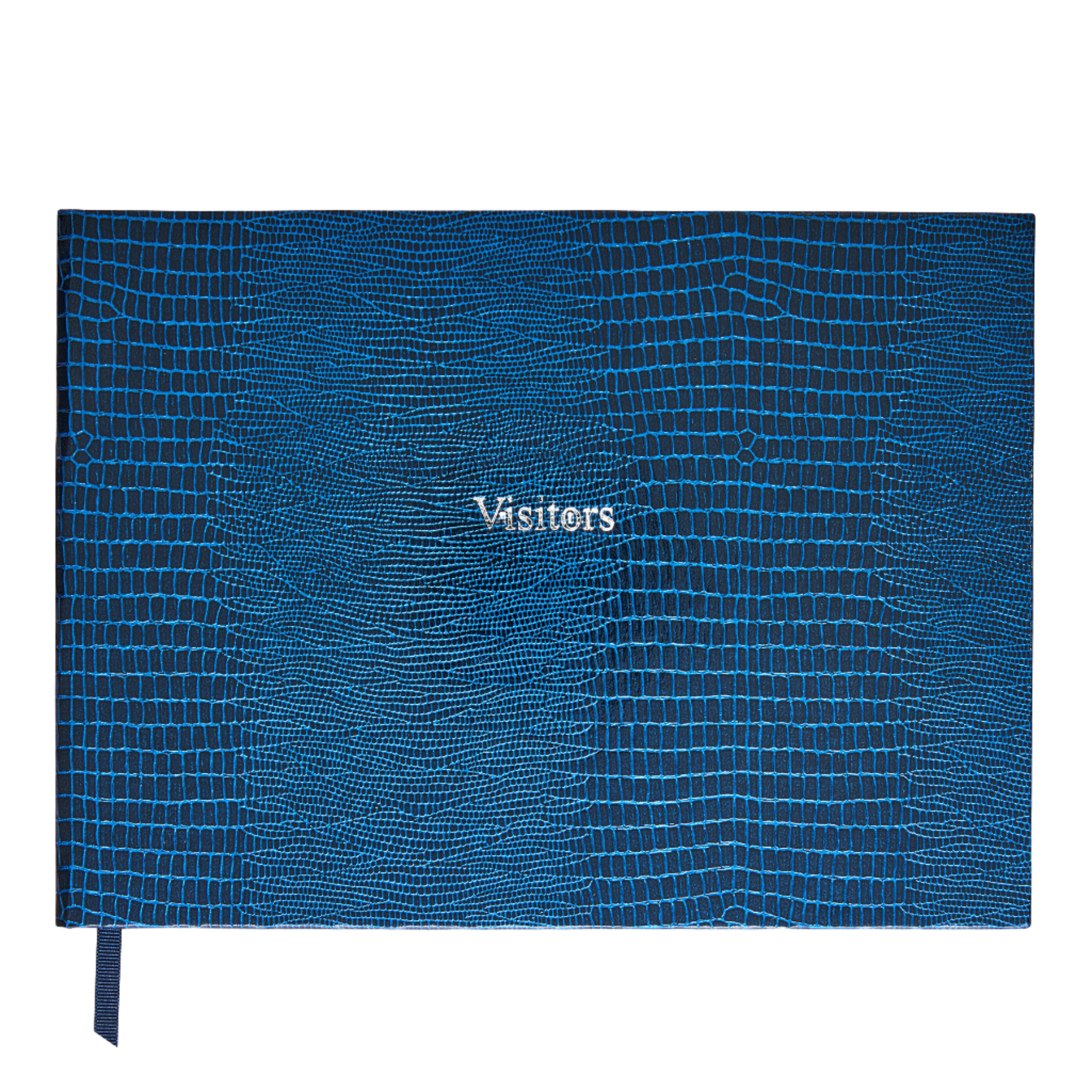 Marine Blue Visitors.png