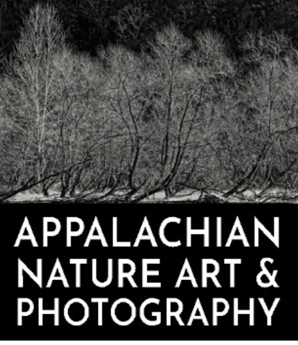 The Appalachian Nature Art & Photography Competition & Exhibition