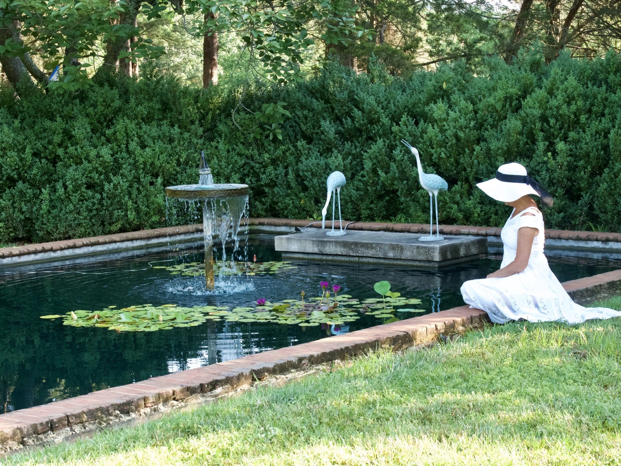 Vicky Eicher; Woman in White, Photography; Email for details: whimoway@comcast.net