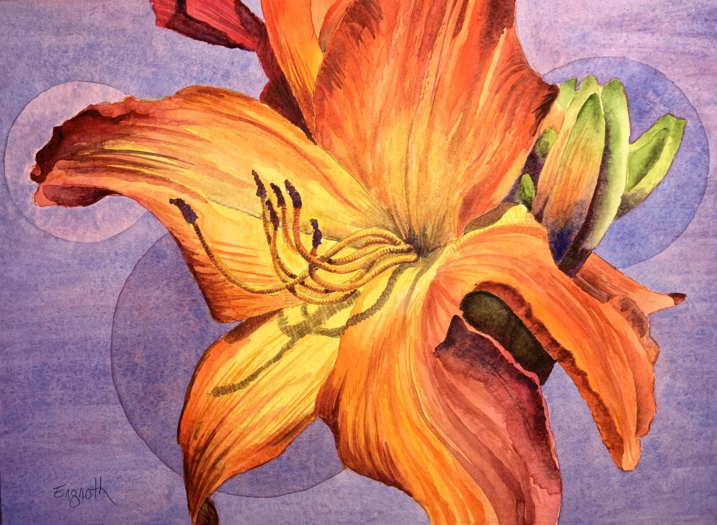 Chris Engnoth; Flaming Day Lily; Watercolor; 21 x 15; $400.00 unframed; Email: 