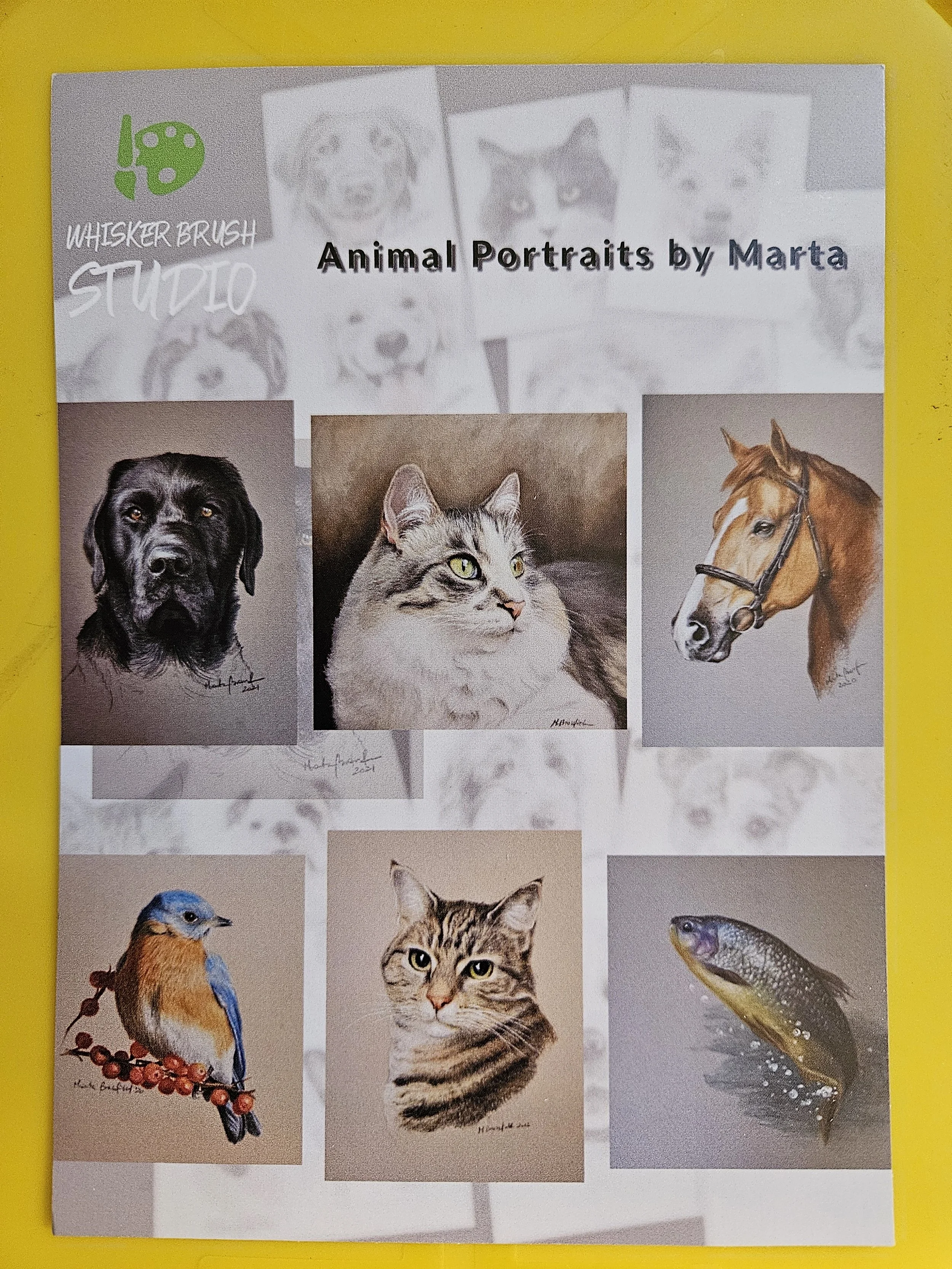 Pet Portraits; Email: Niko.marta00@gmail.com