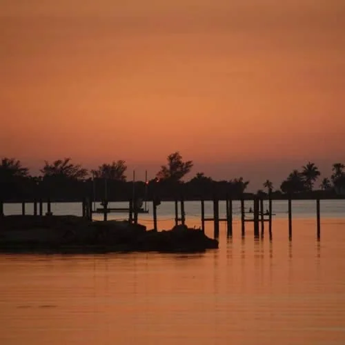 Sunset over a body of water with silhouette trees and a wooden dock.