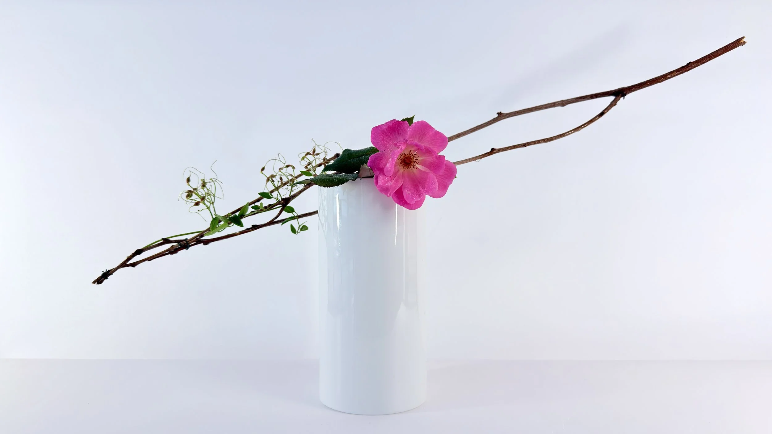 Narcisa Despoiu, Held by Air-Photography,  Unframed 26x20, $200.00