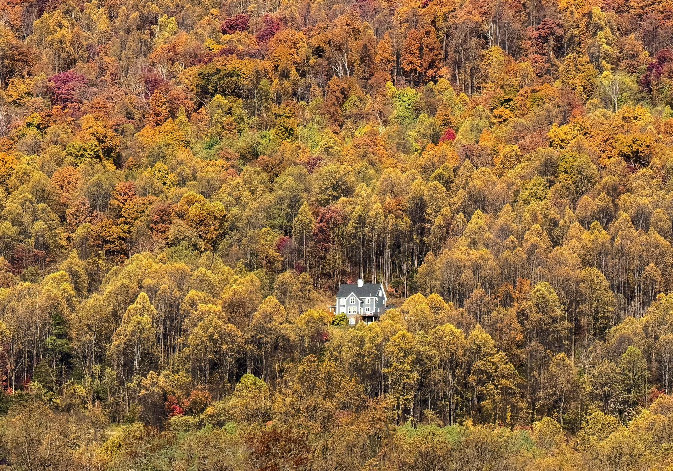 Ellis Rosenberg; House In The Woods; Digital Print Photography; framed 16x20; $85.00; Email: ellisrosenberg2@gmail.com