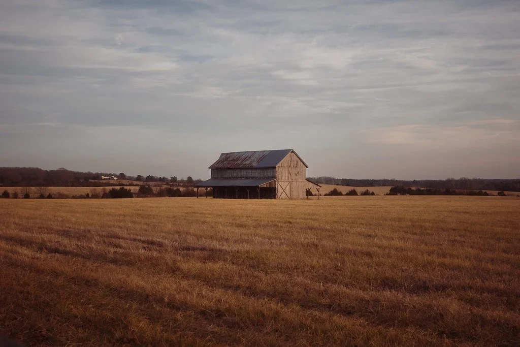 Kyle McCullen, Photography, Homestead, Email: kylejmccullen@gmail.com