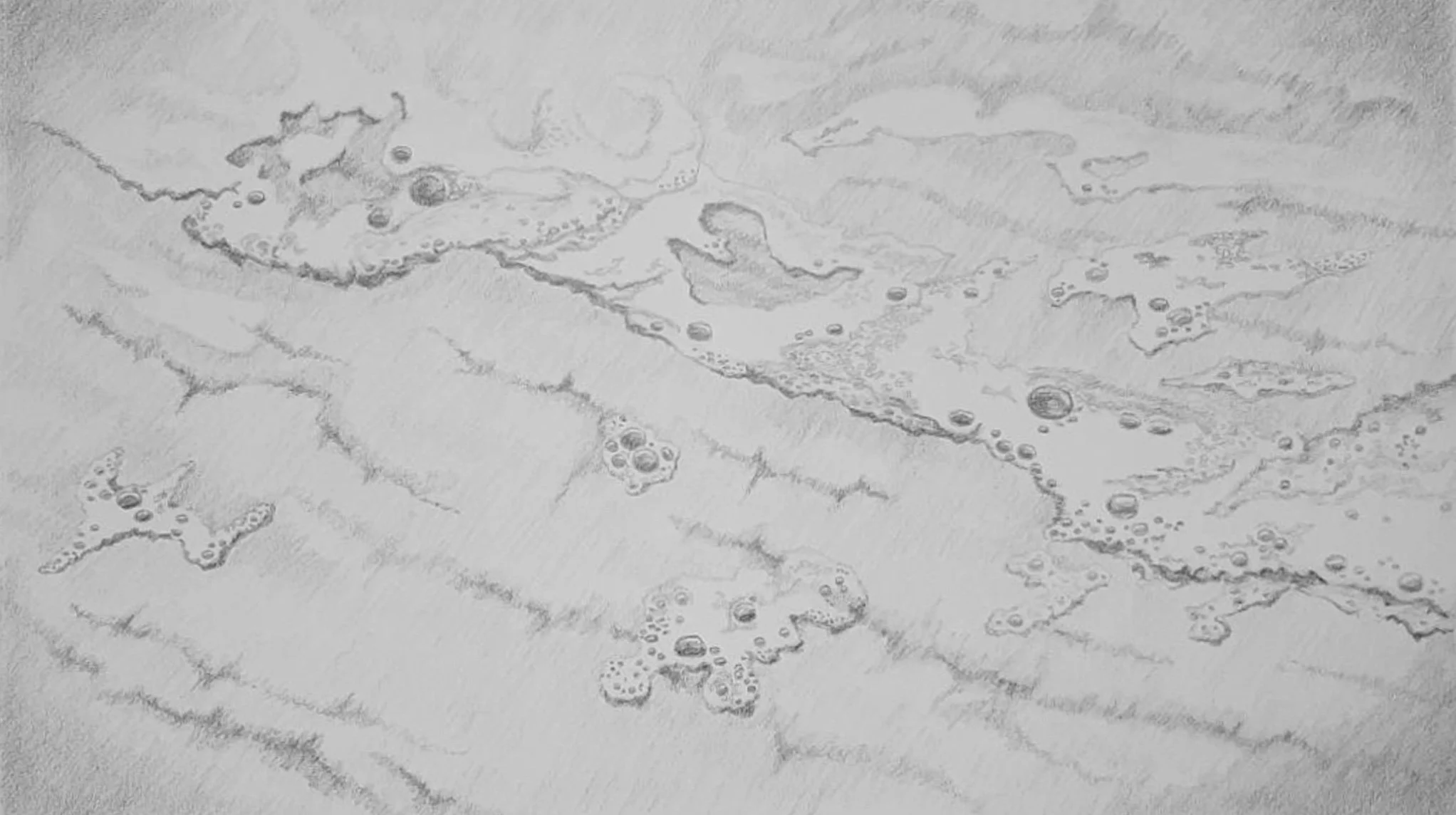 Dawn Murphy; Low Tide 1' Graphite on paper; 32x22; Not For Sale; Email: ddmurphy1@verizon.net
