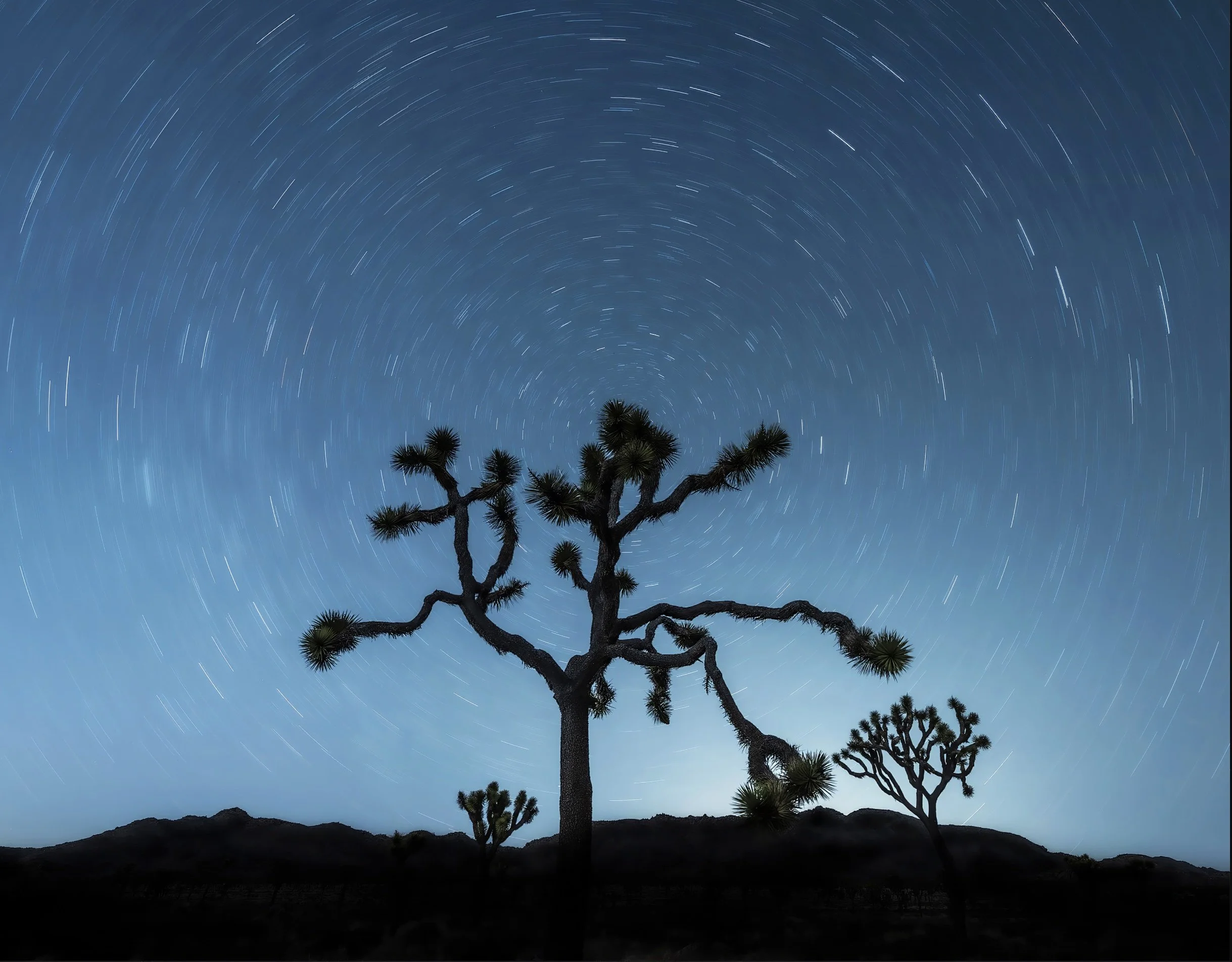 Sue Irish; Joshua Tree Star Trails; 11X14; Photography; $250.00; Email: suirish19@gmail.com