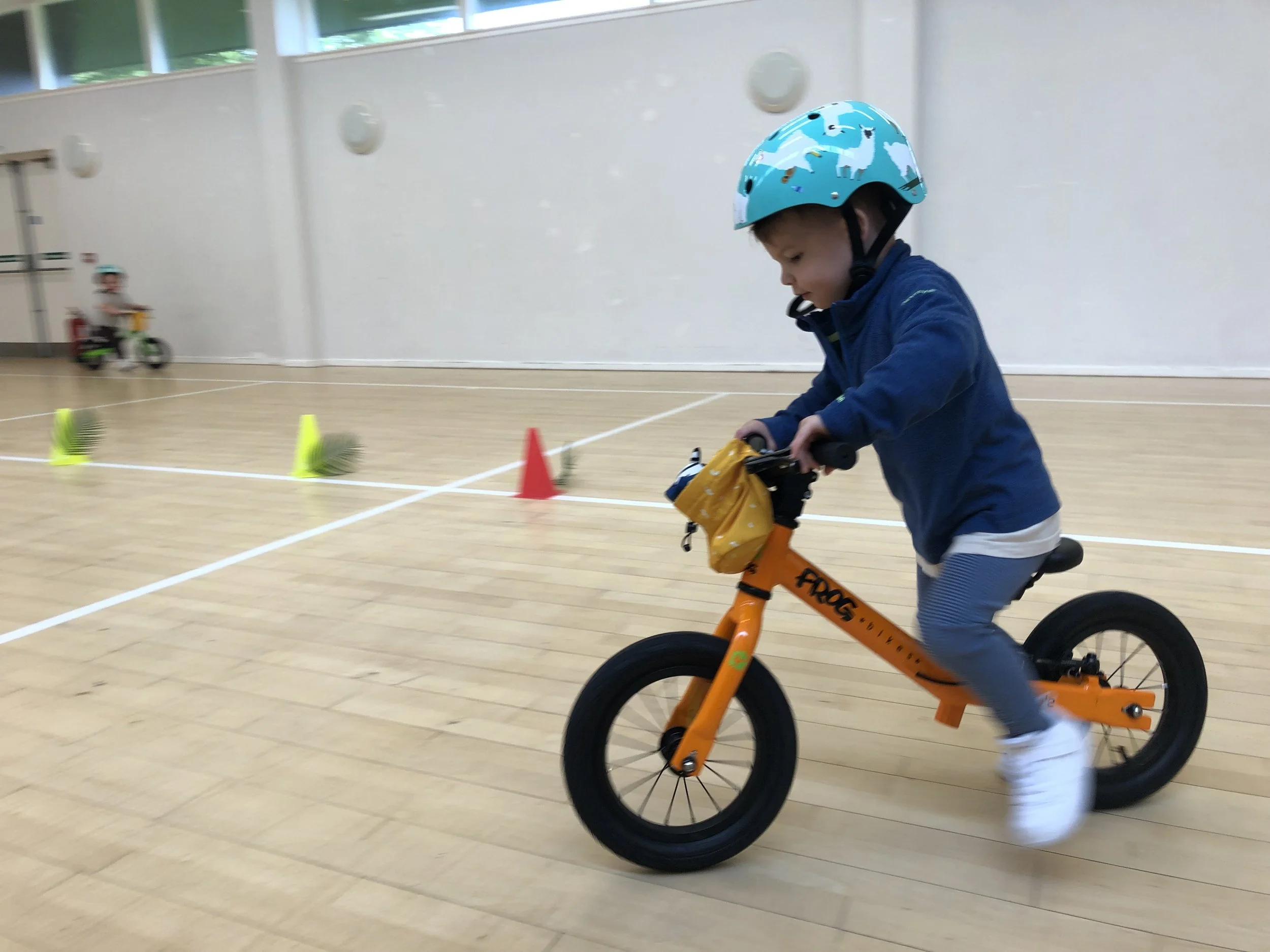 Green Trail - Winter Term. Dreghorn Loan Hall.
