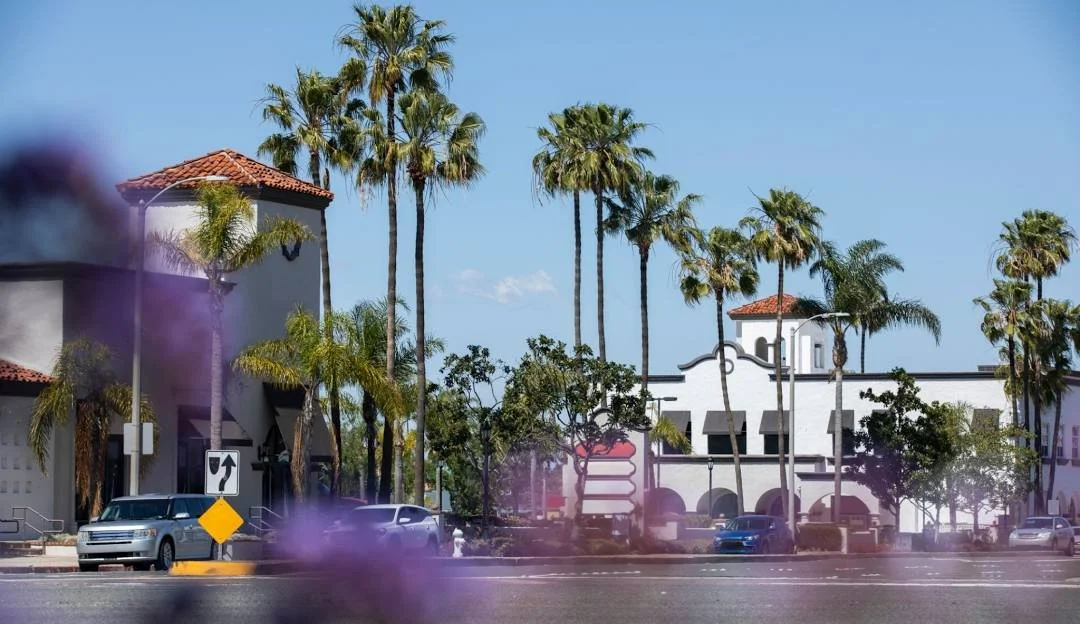 Street view with palm trees, white buildings with red-tiled roofs, parked cars, and purple haze in the foreground.