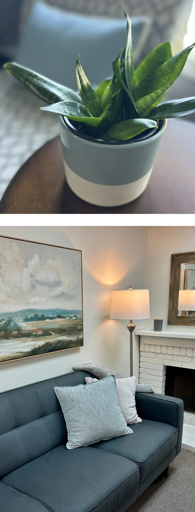 Close-up of a potted green succulent plant on a wooden surface indoors.