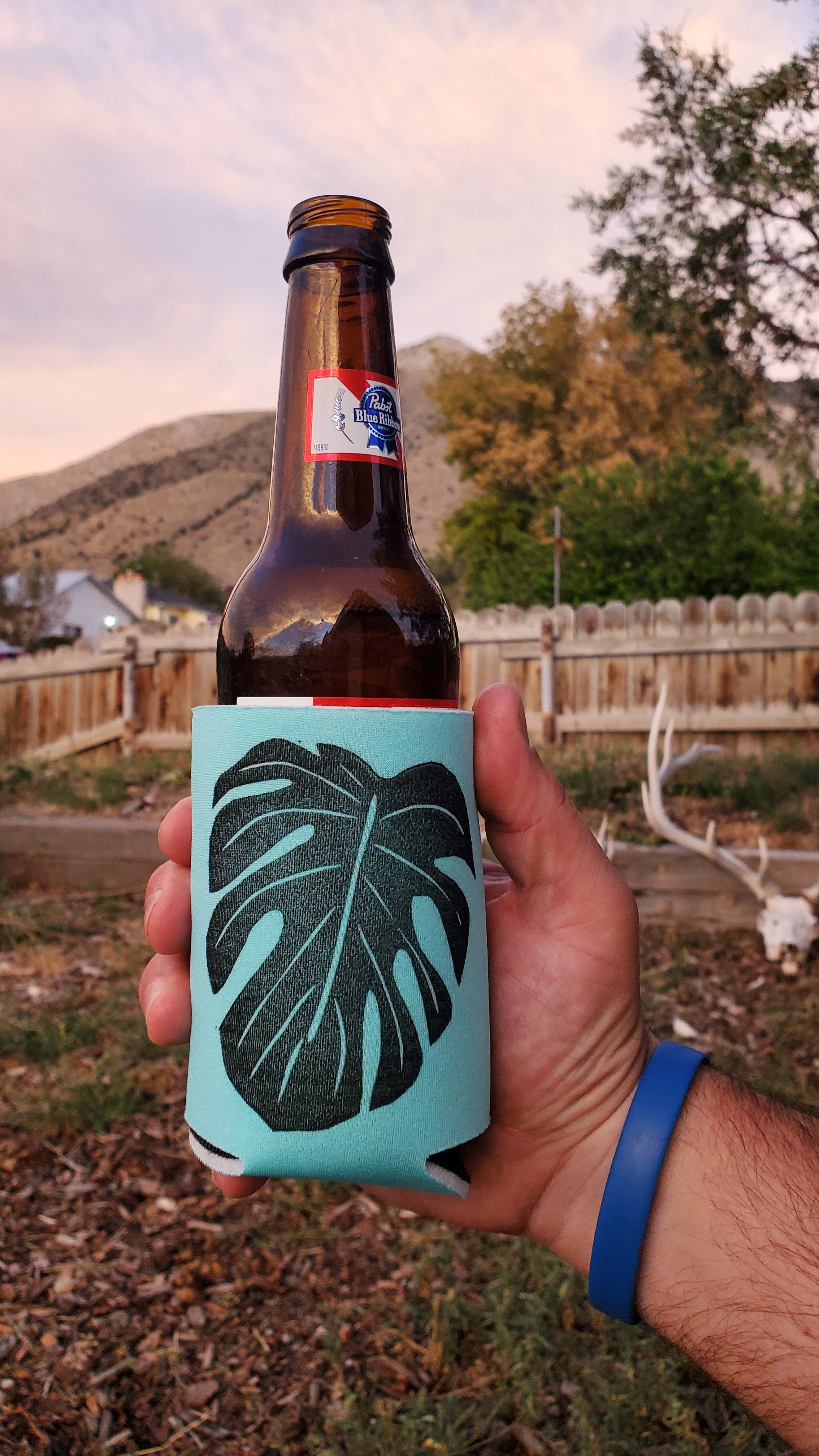 Printed Monstera Leaf Koozie