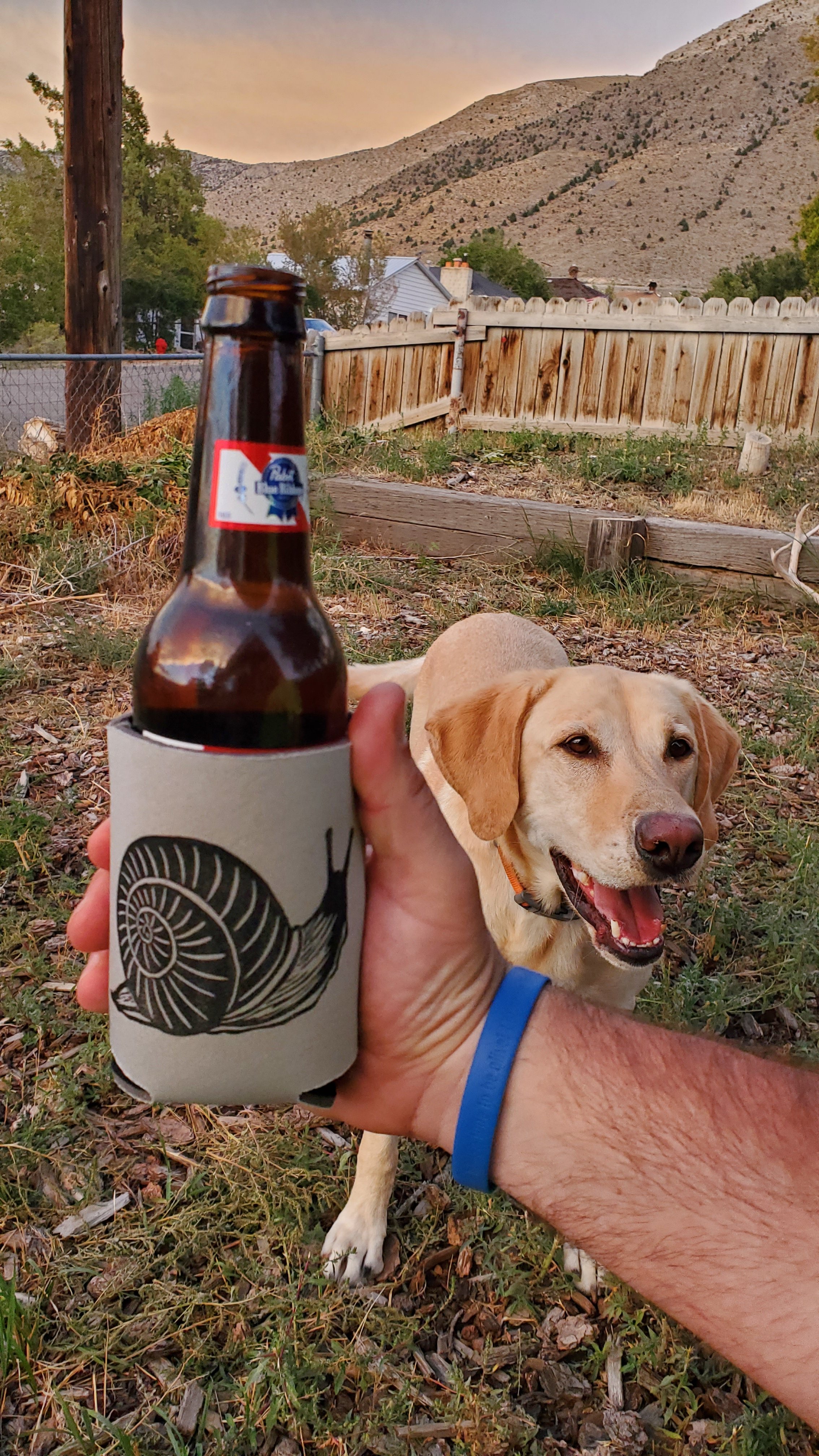 Printed Snail Koozie