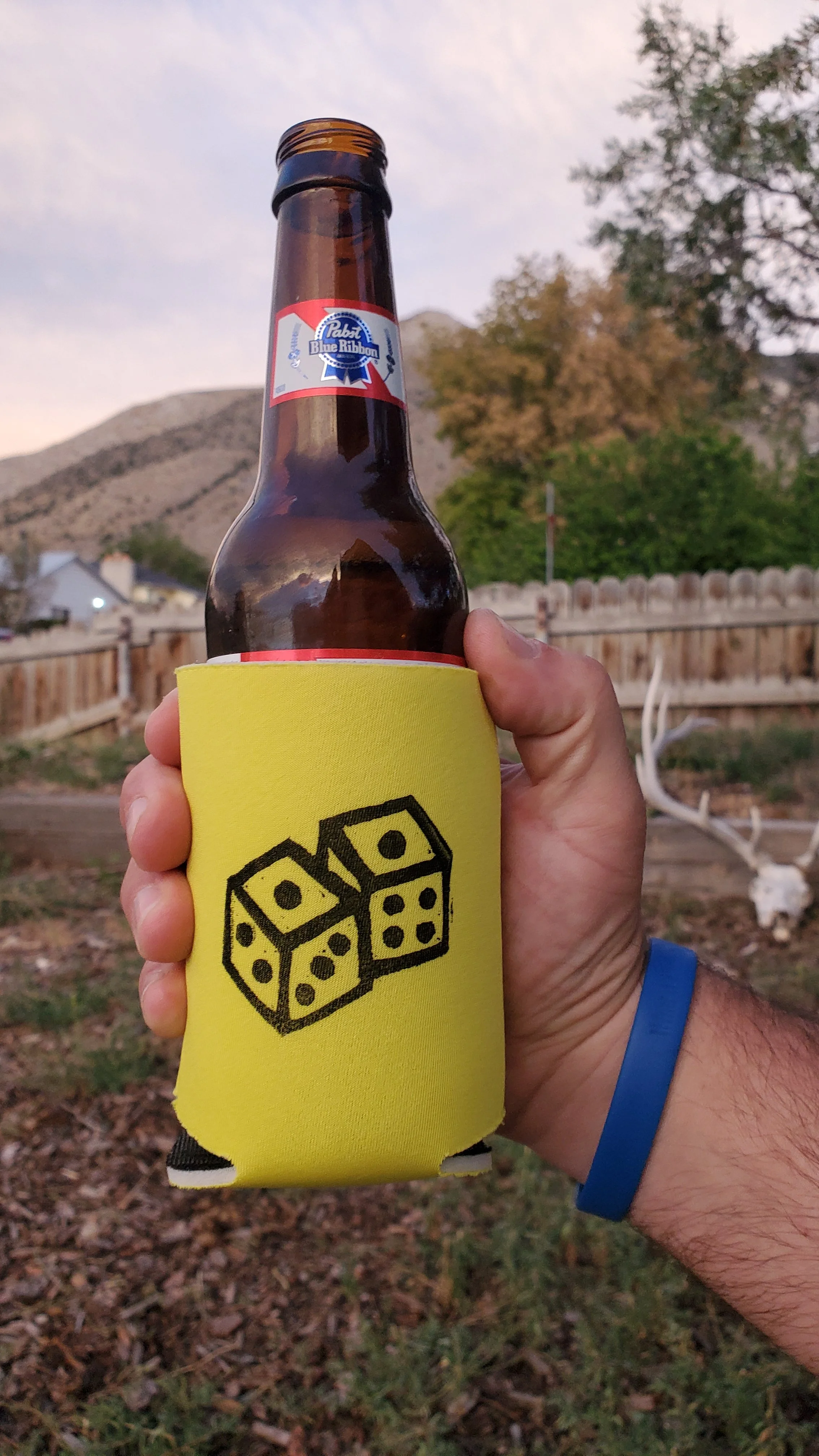 Printed Snake Eye Koozie
