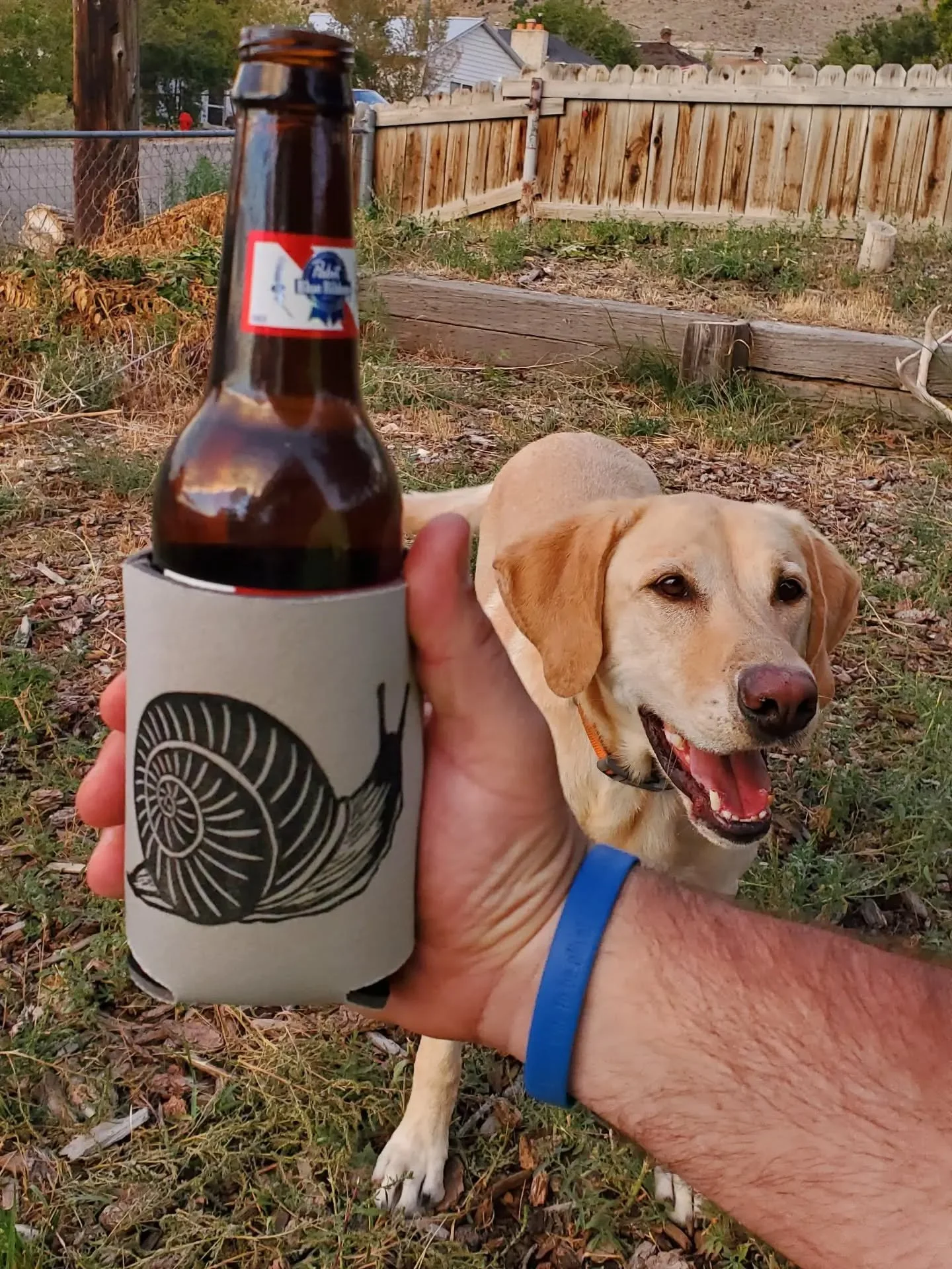 Just added some new prints and products to my online shop! Dog and bottle of PBR not included. 😂 

You can take a closer look via the link in my bio. 🔗