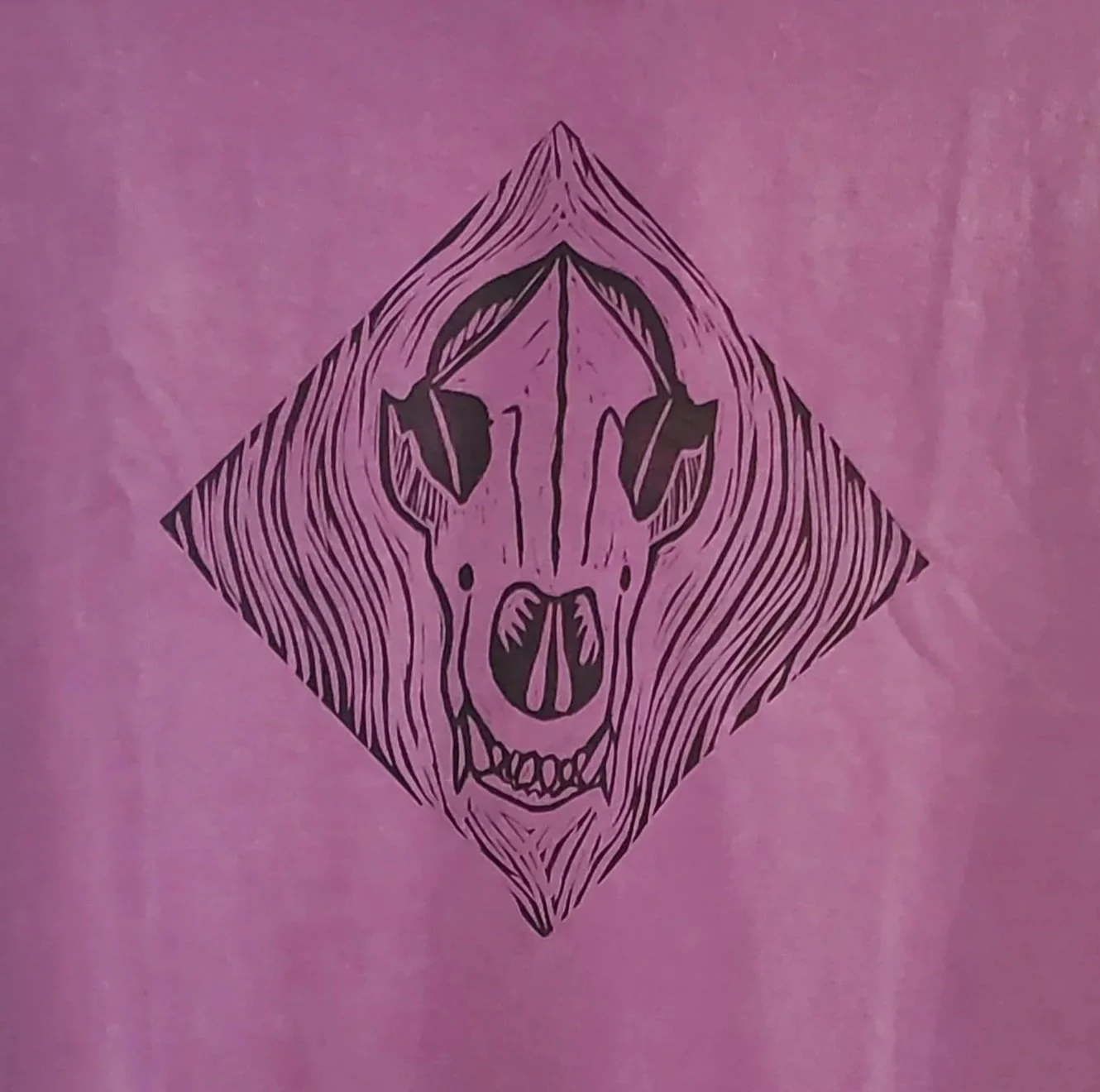 20260718_192242.jpg