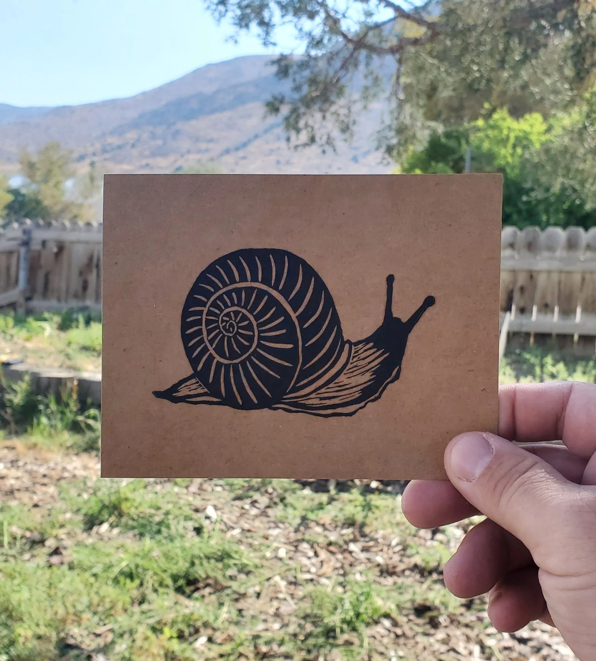 Quarterly Snail Mail Club