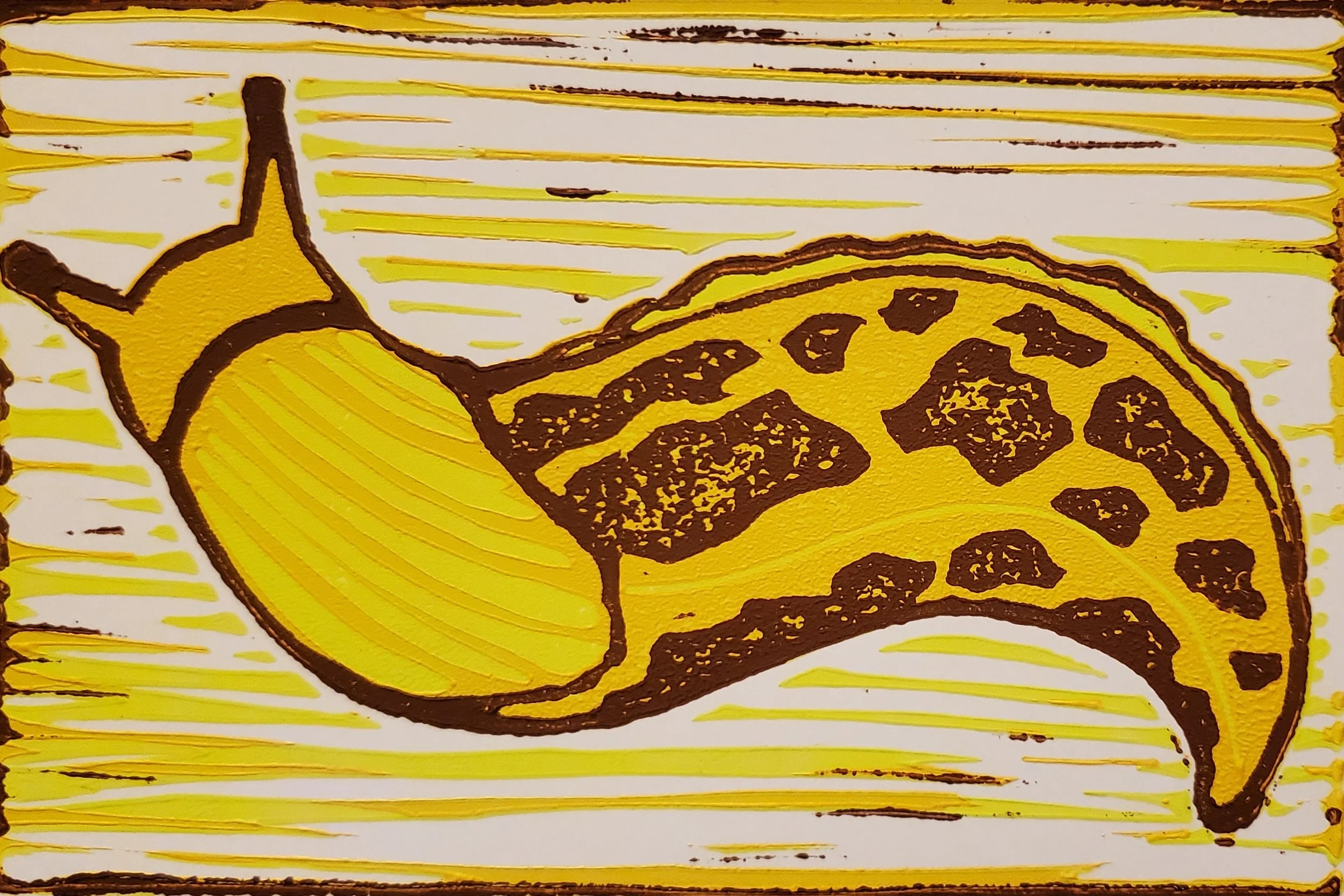 20250319_214335.jpg
